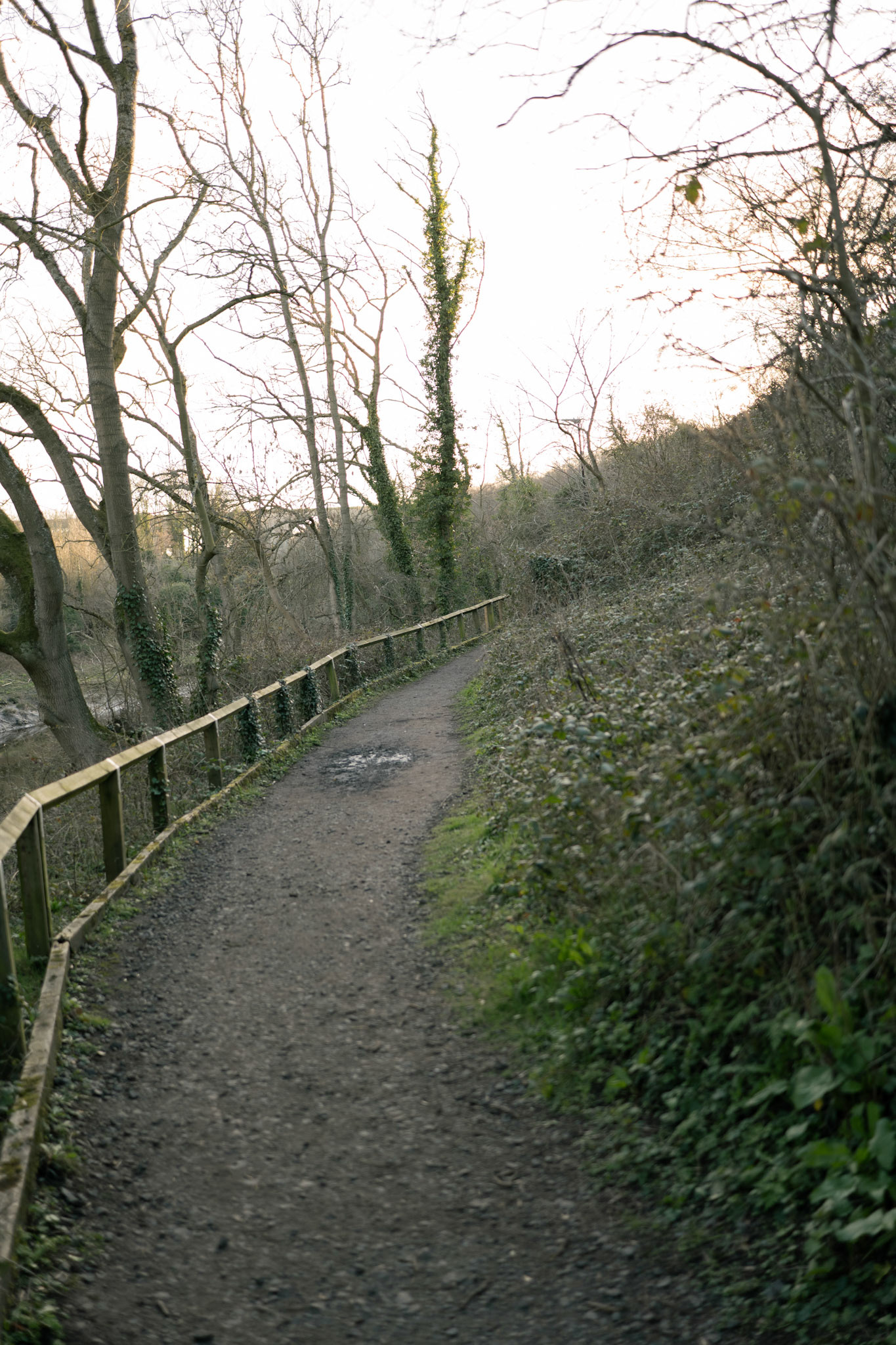 a path next to the river wear