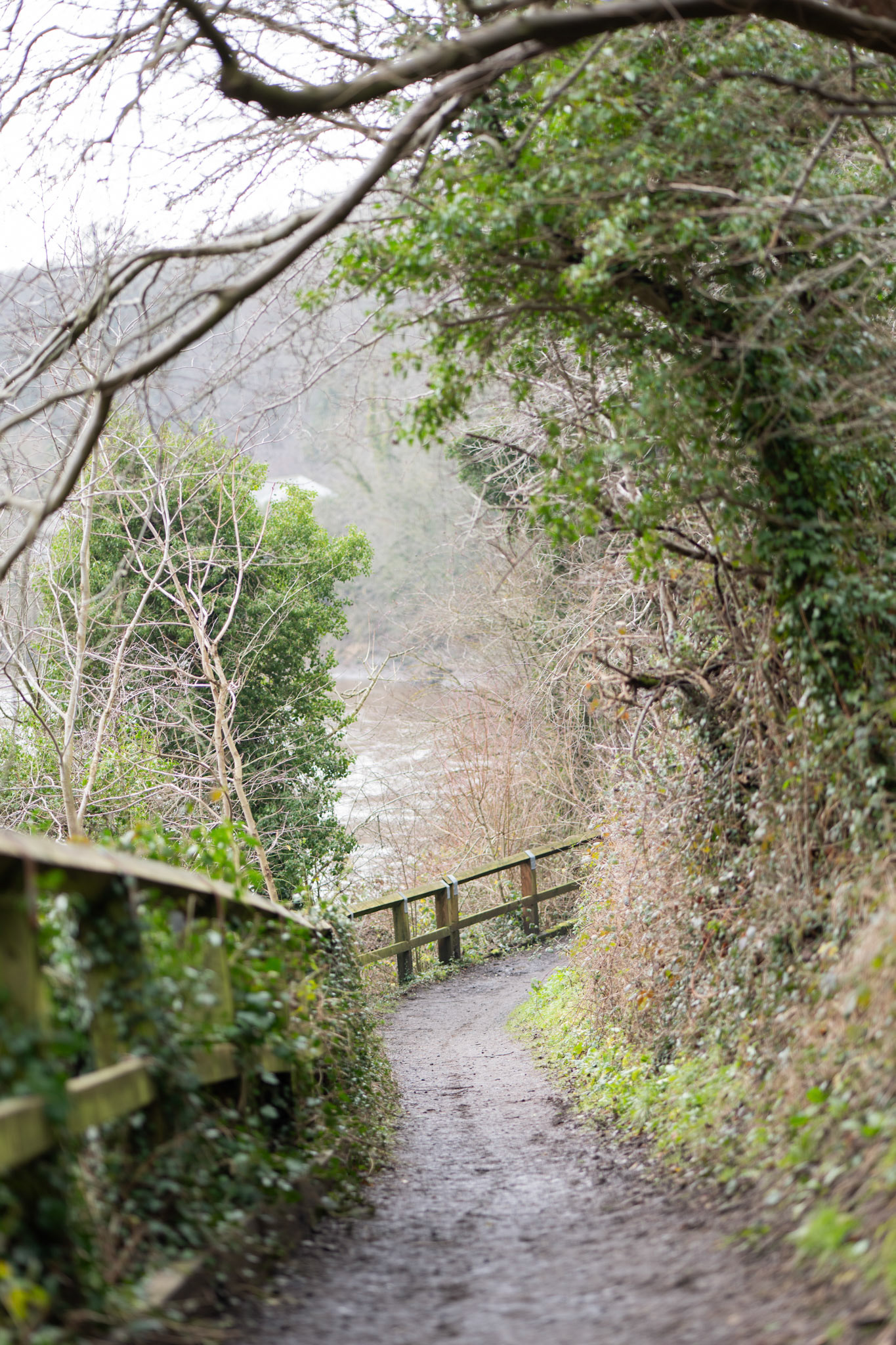 path next to river wear