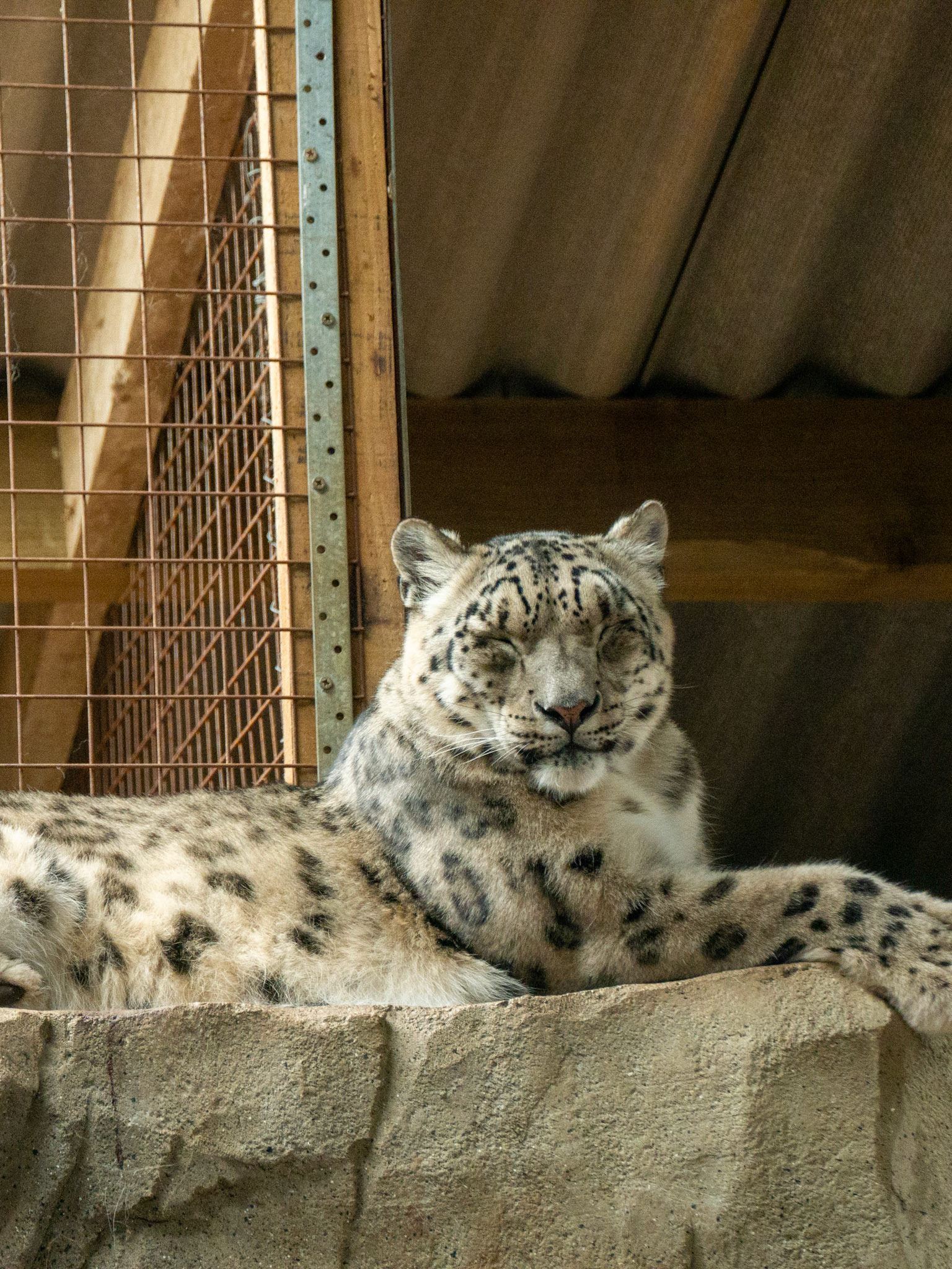 Northumberland zoo