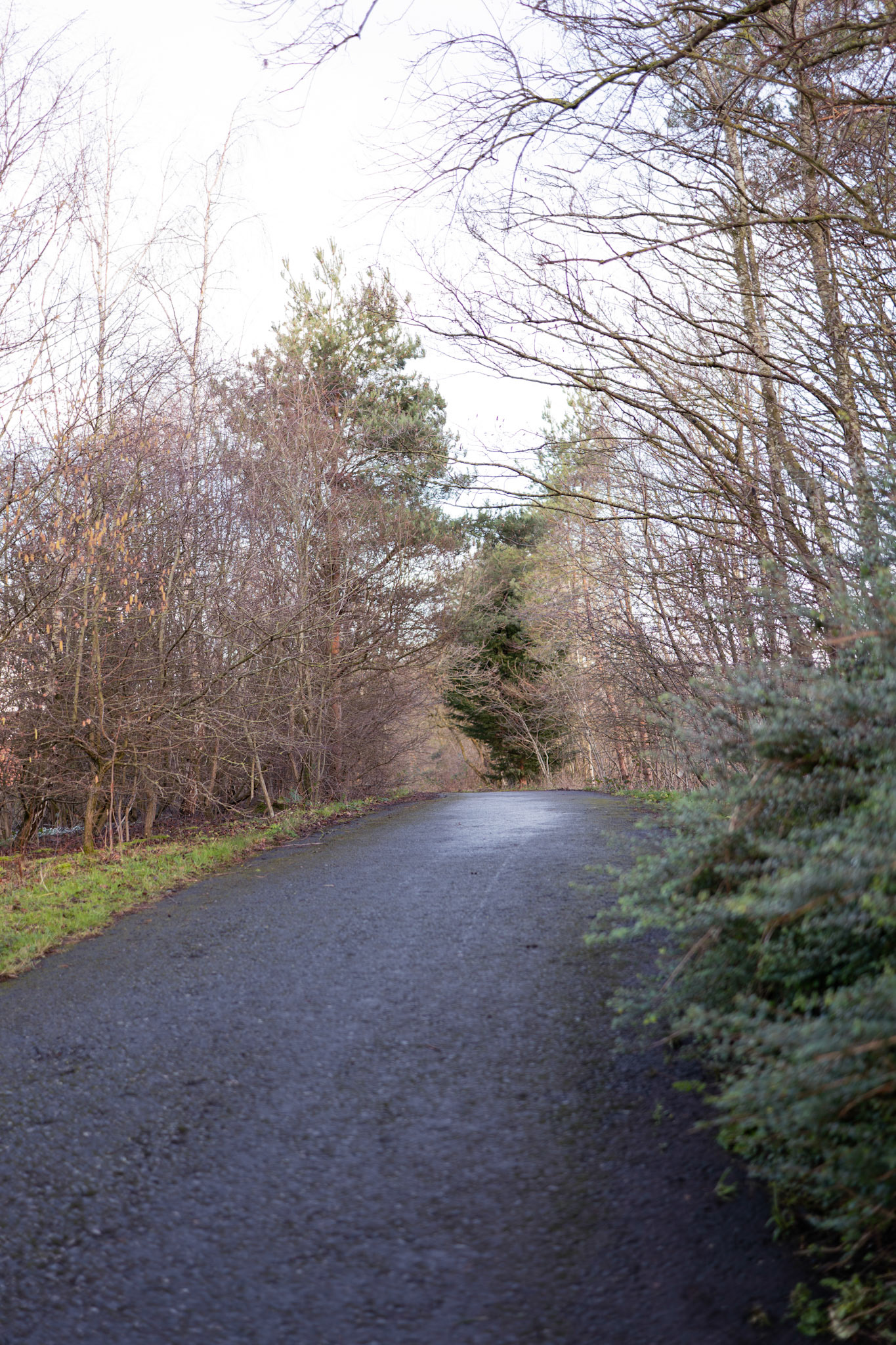 a path 