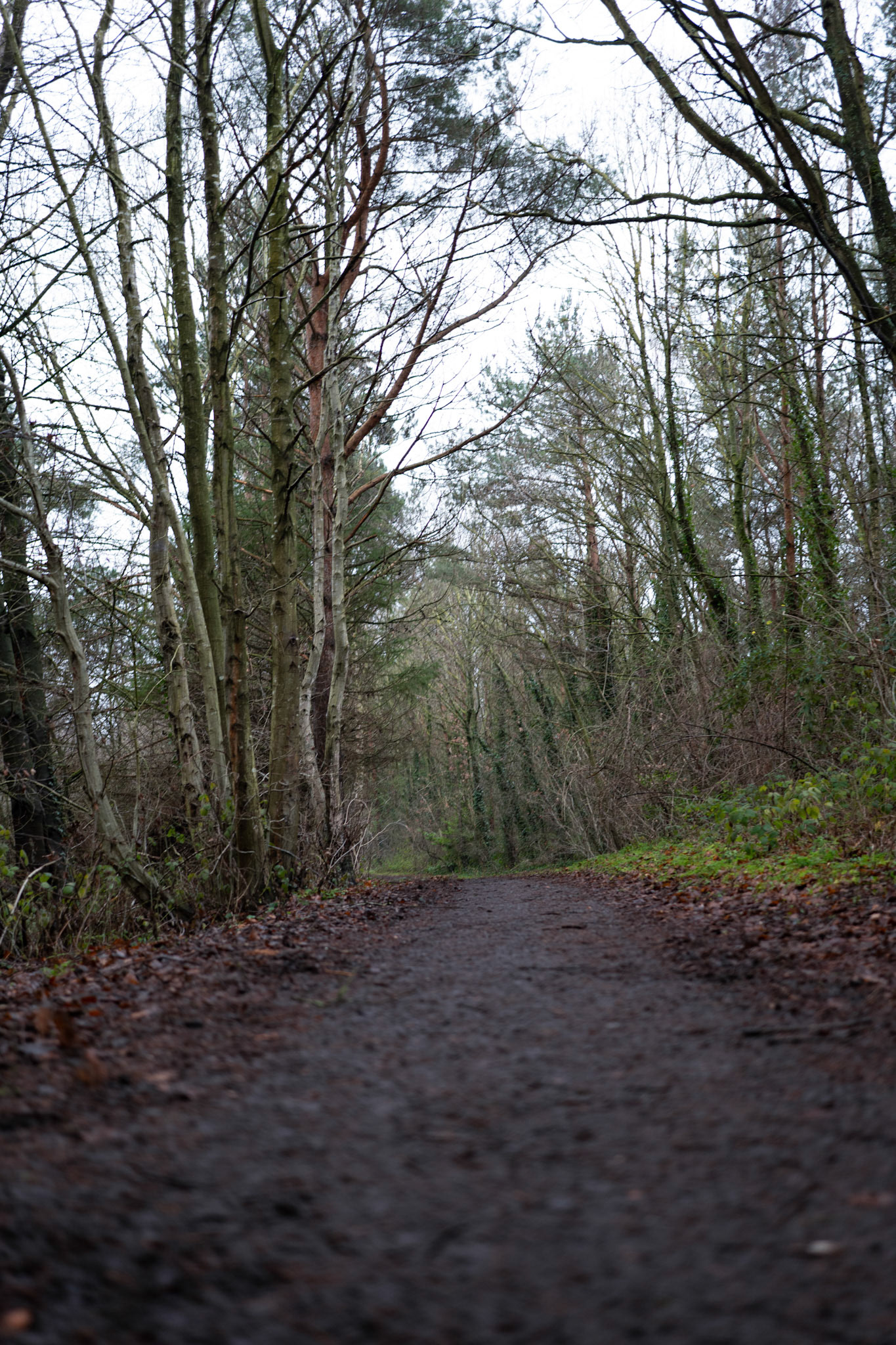 james steel park 