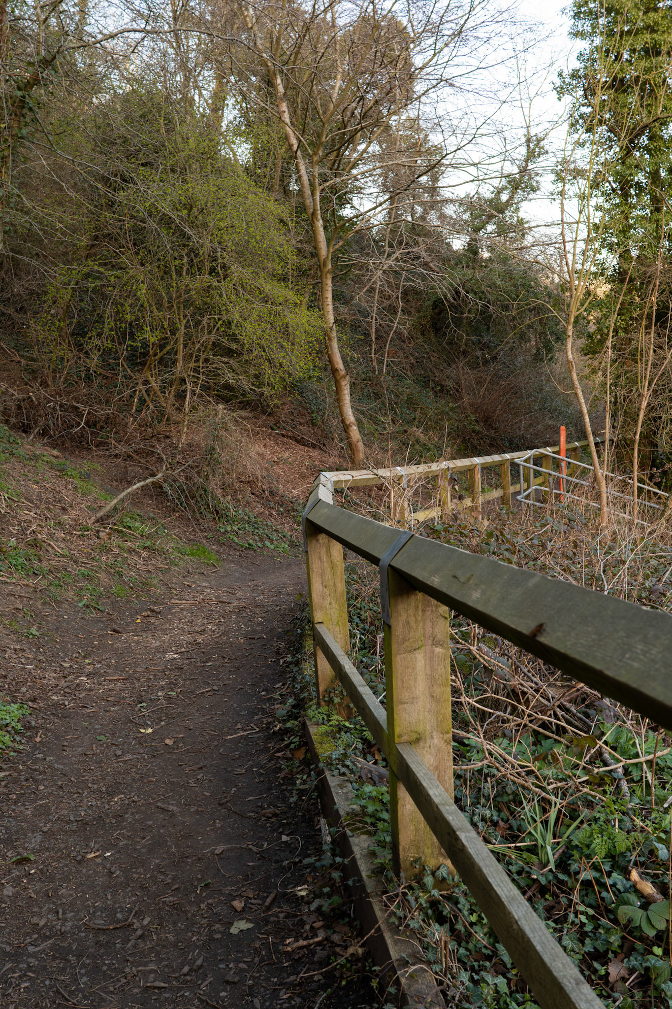 a path next to the river wear