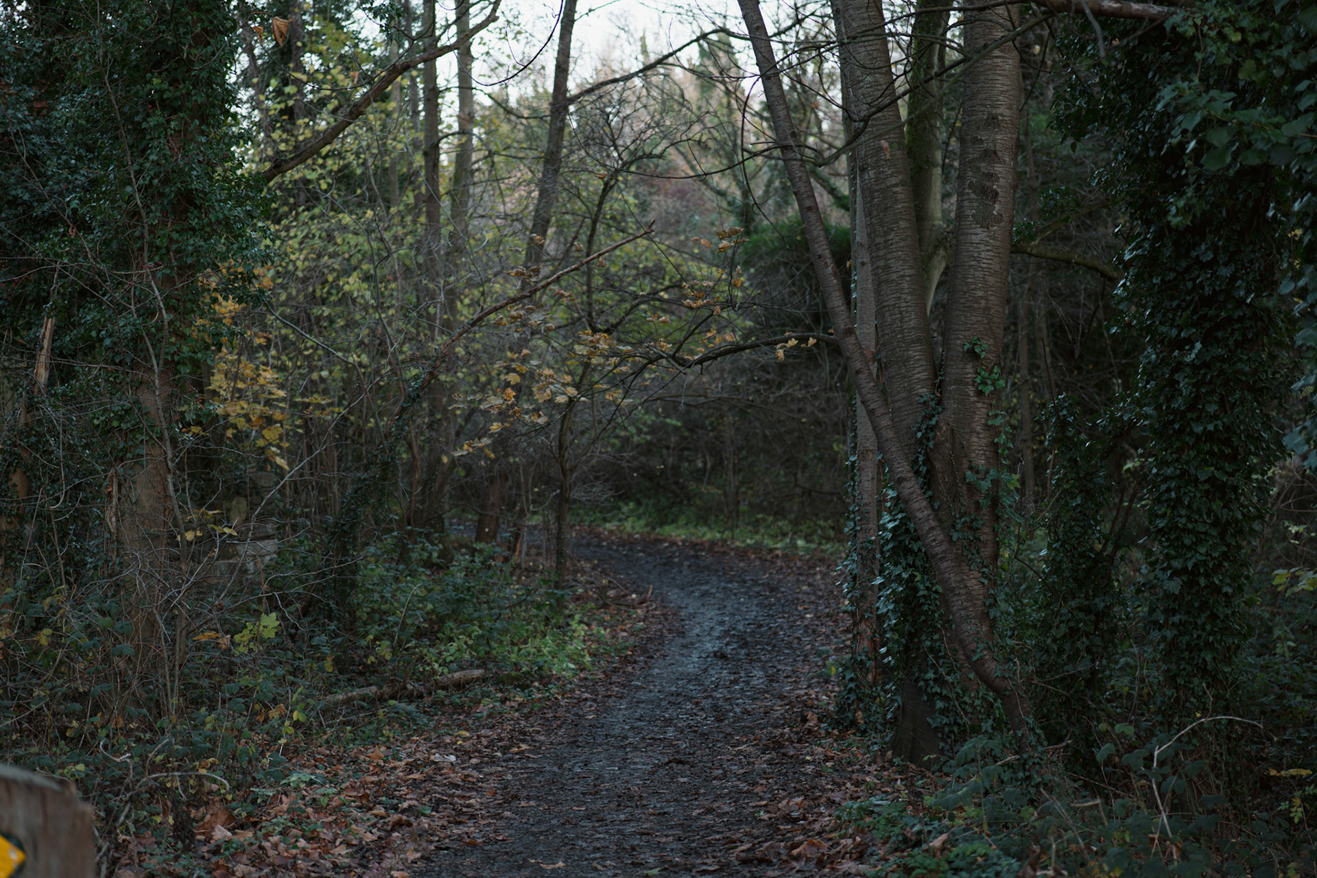 a path next to the river wear