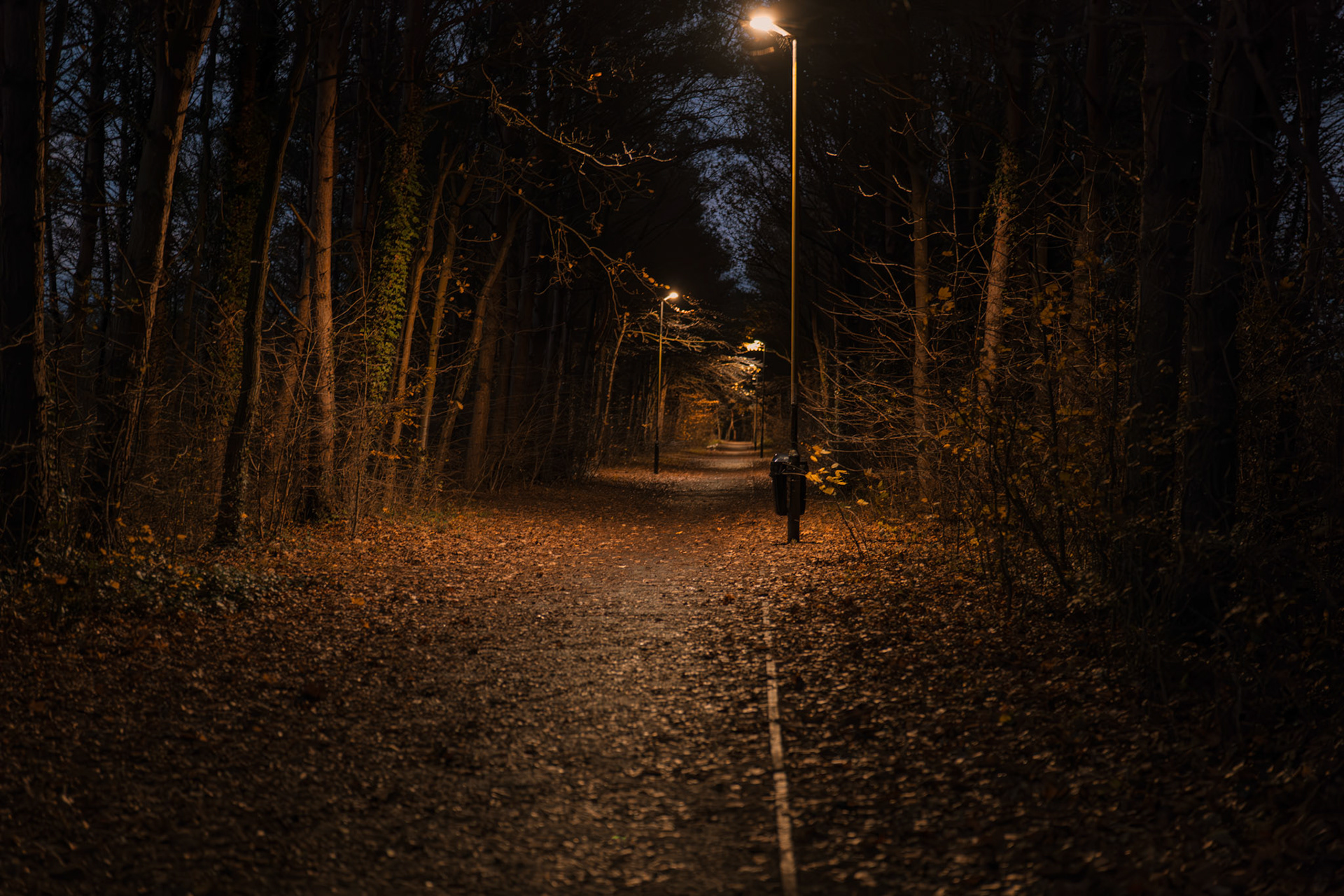 a path 