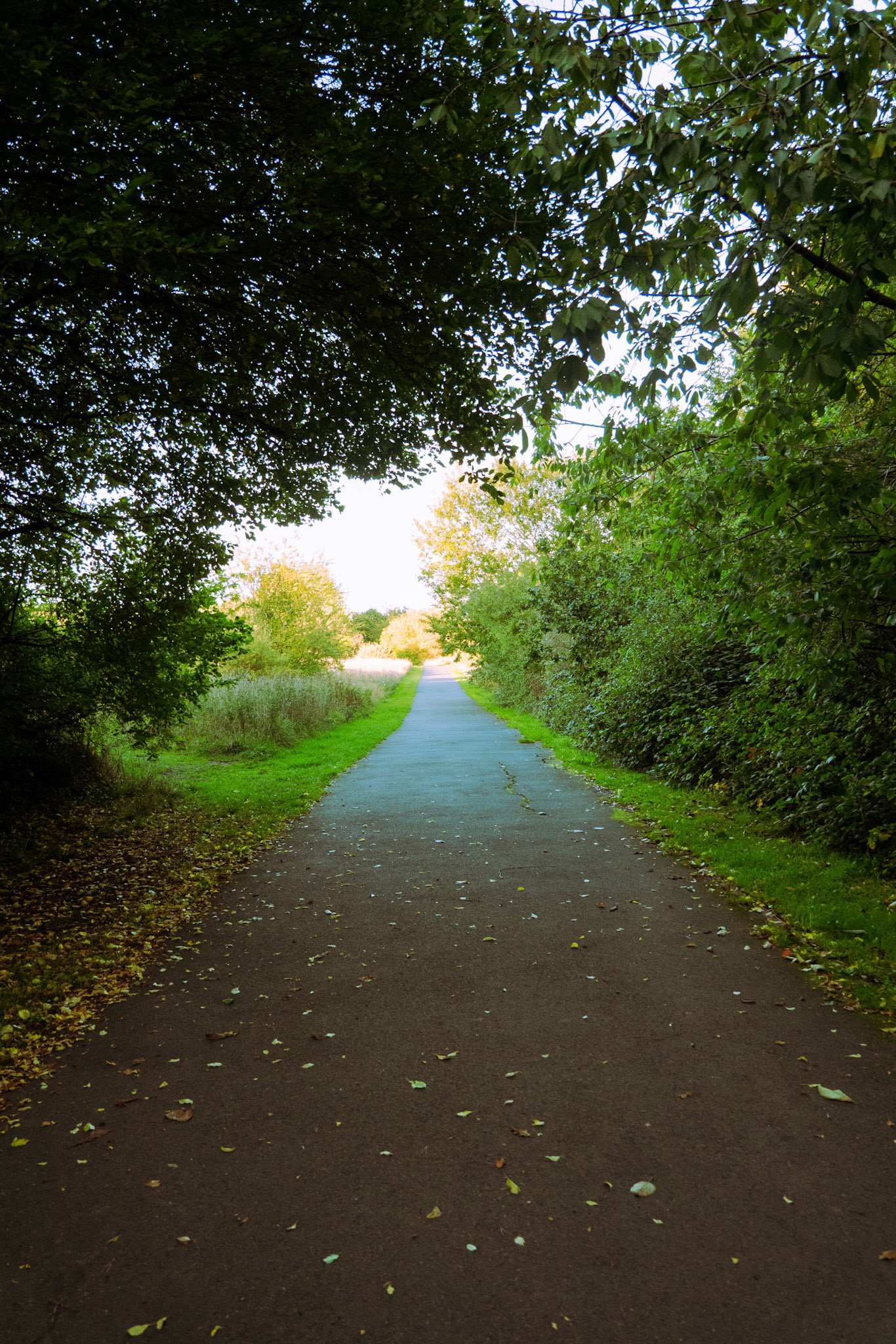 a path in James steel park