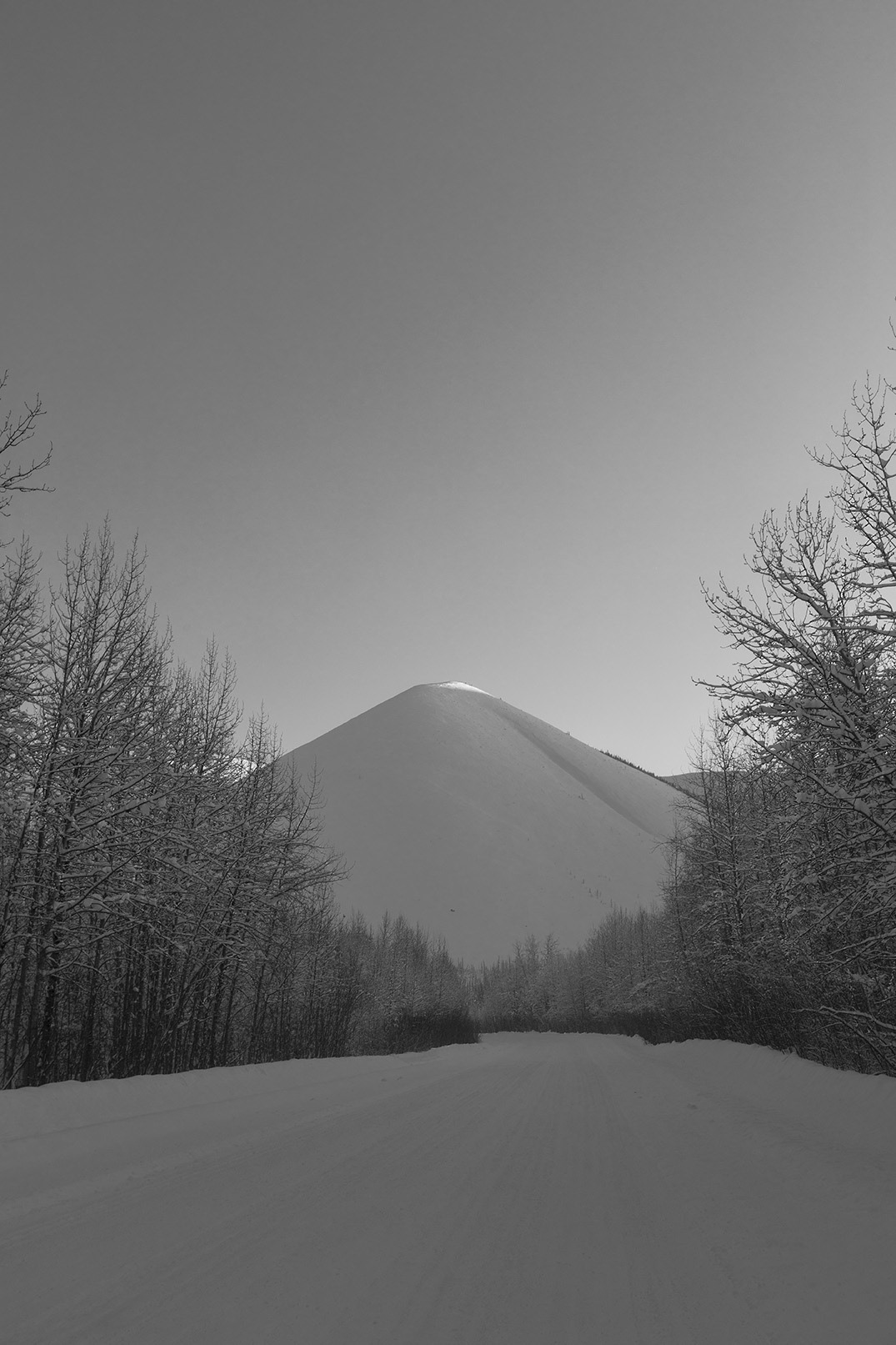 YUKON