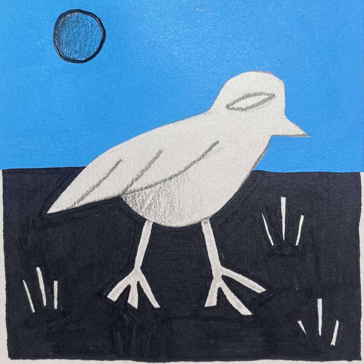 Birb