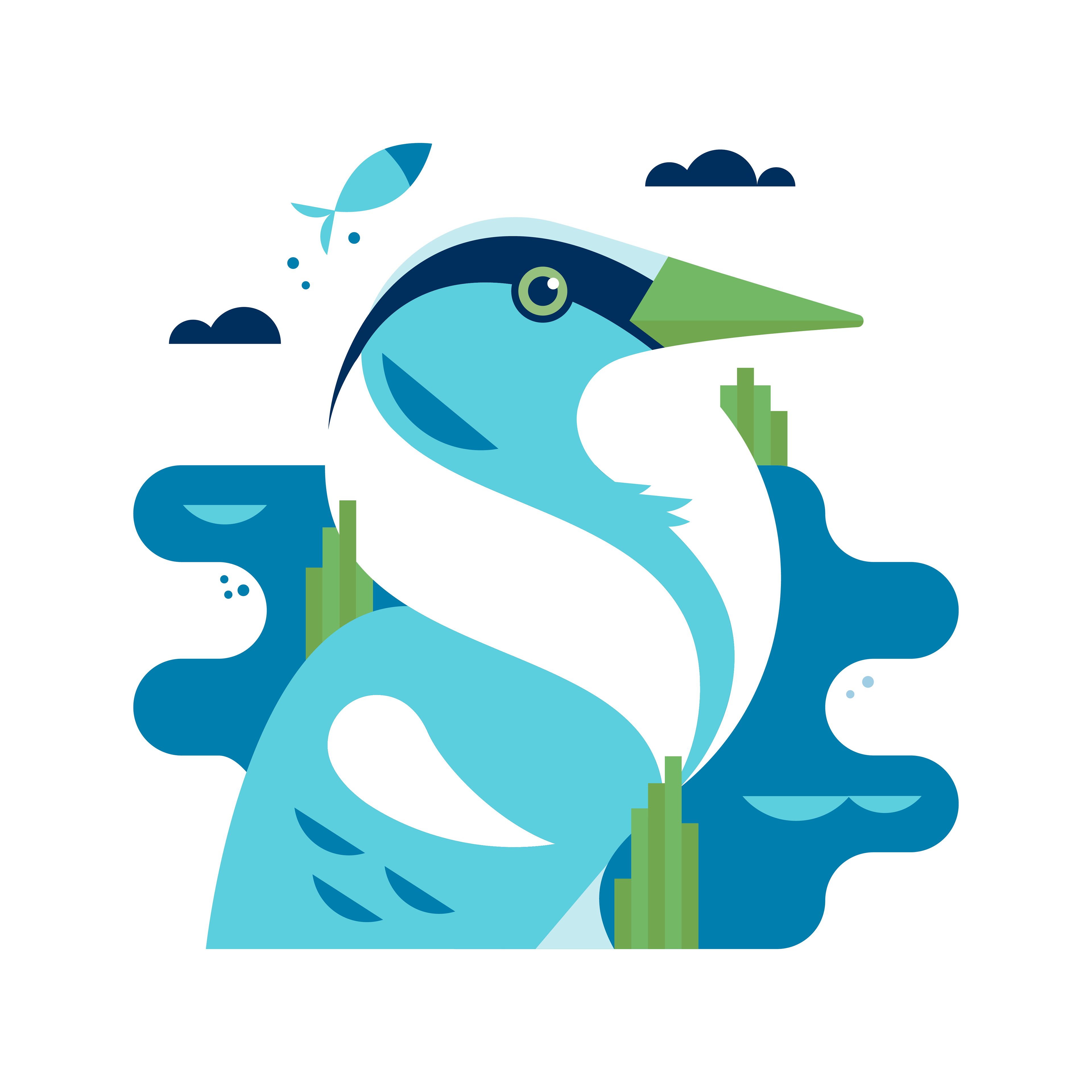 Blue Heron Illustration