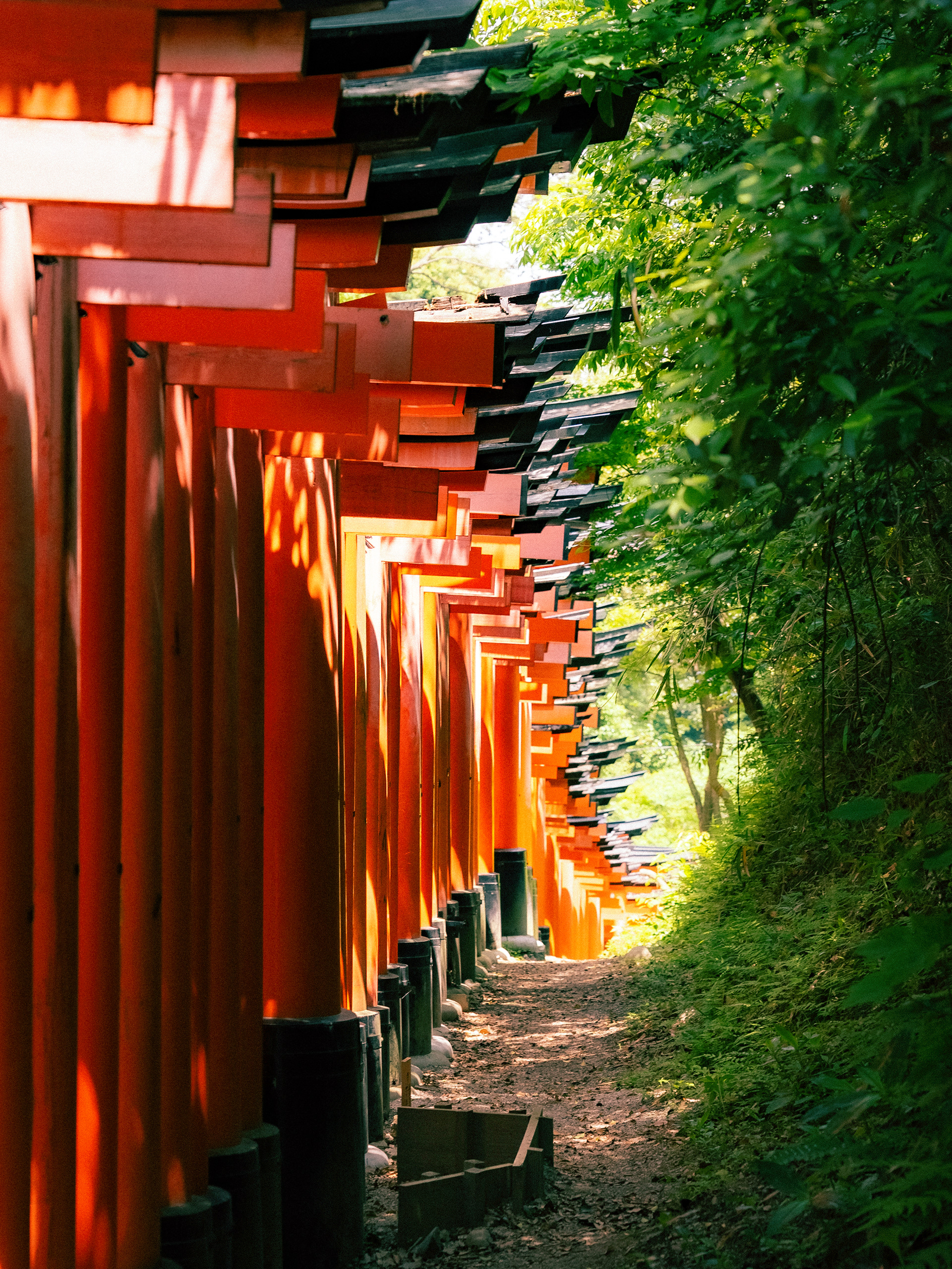 Fushimi Inari 2025