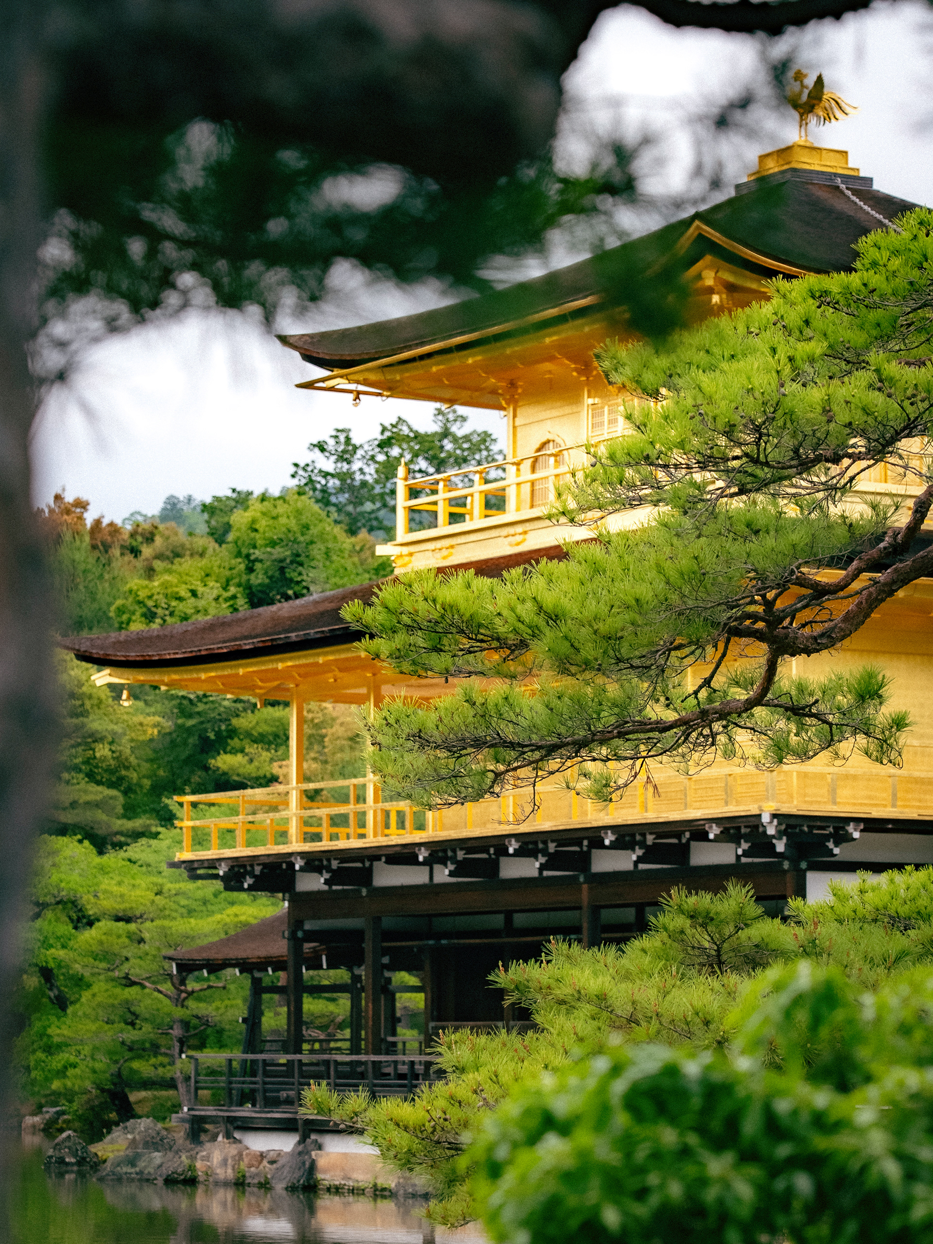 Kinkaku-Ji 2025