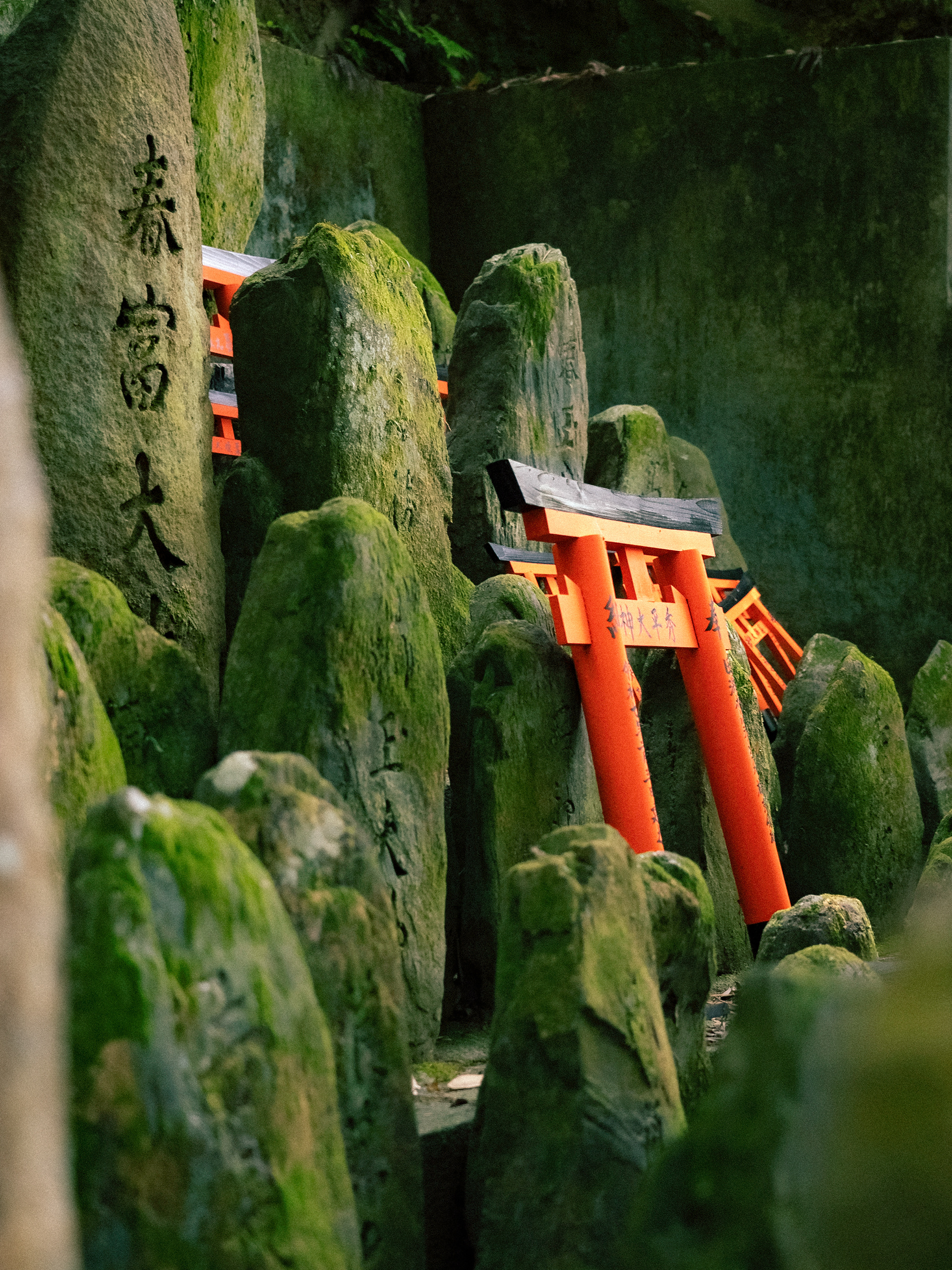 Fushimi Inari 2025