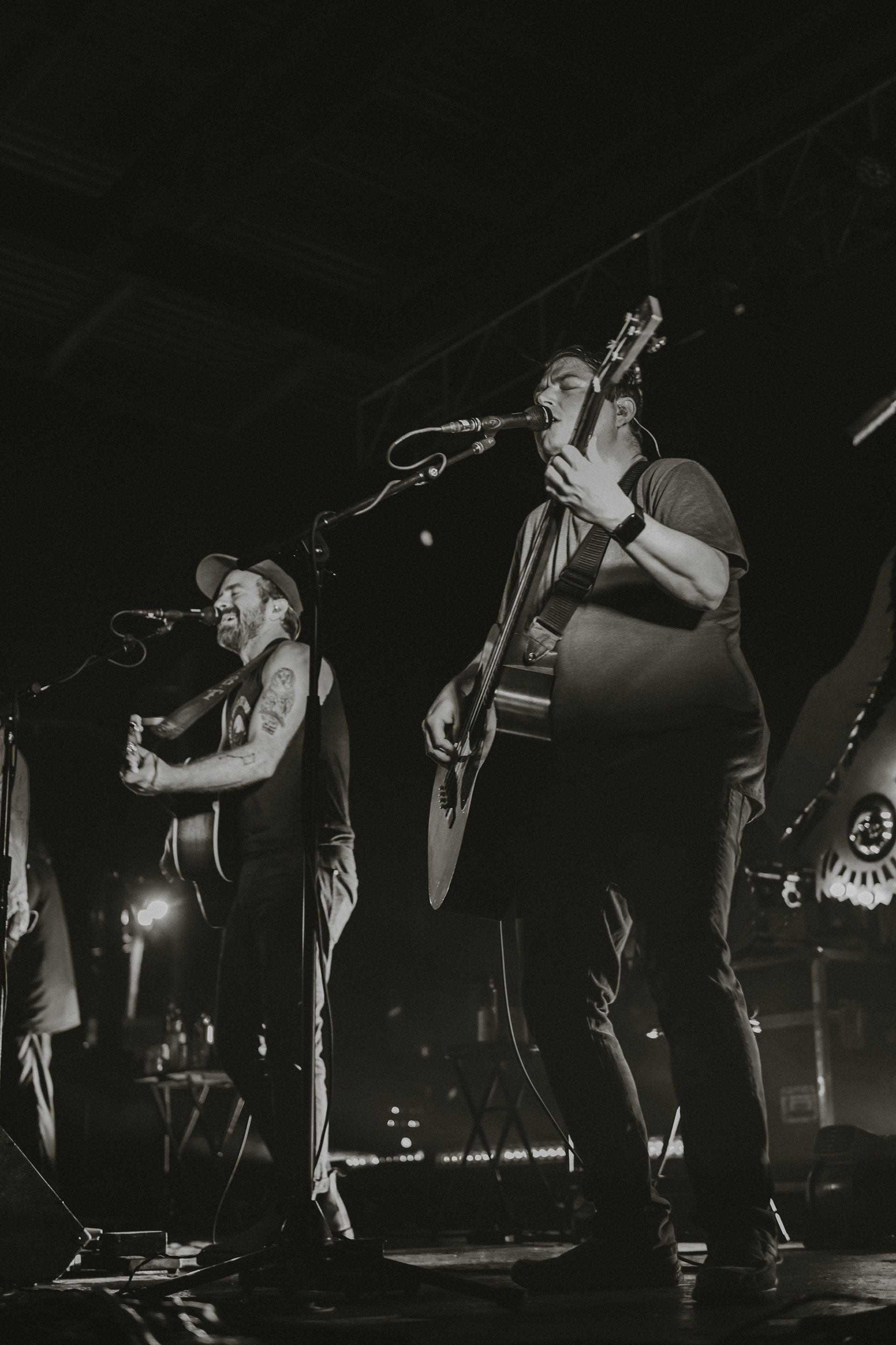 Trampled By Turtles