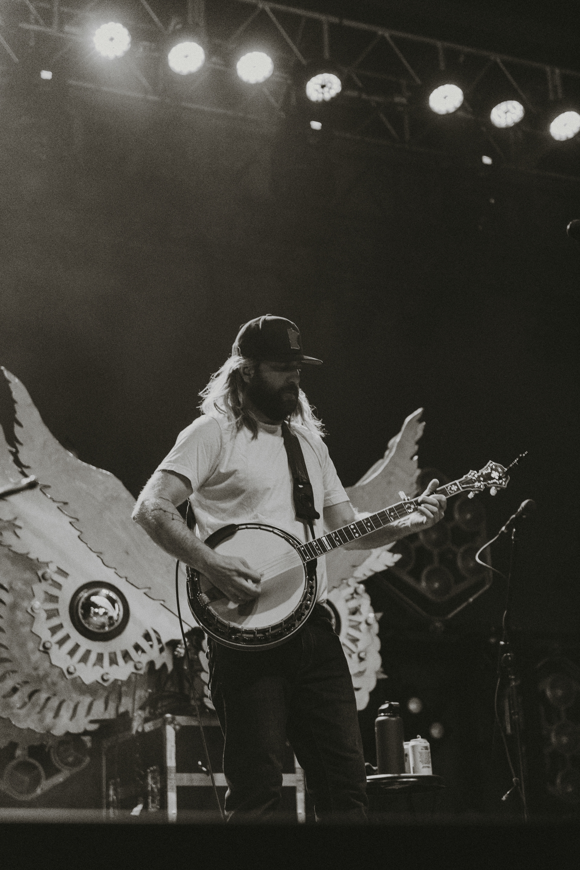 Trampled By Turtles