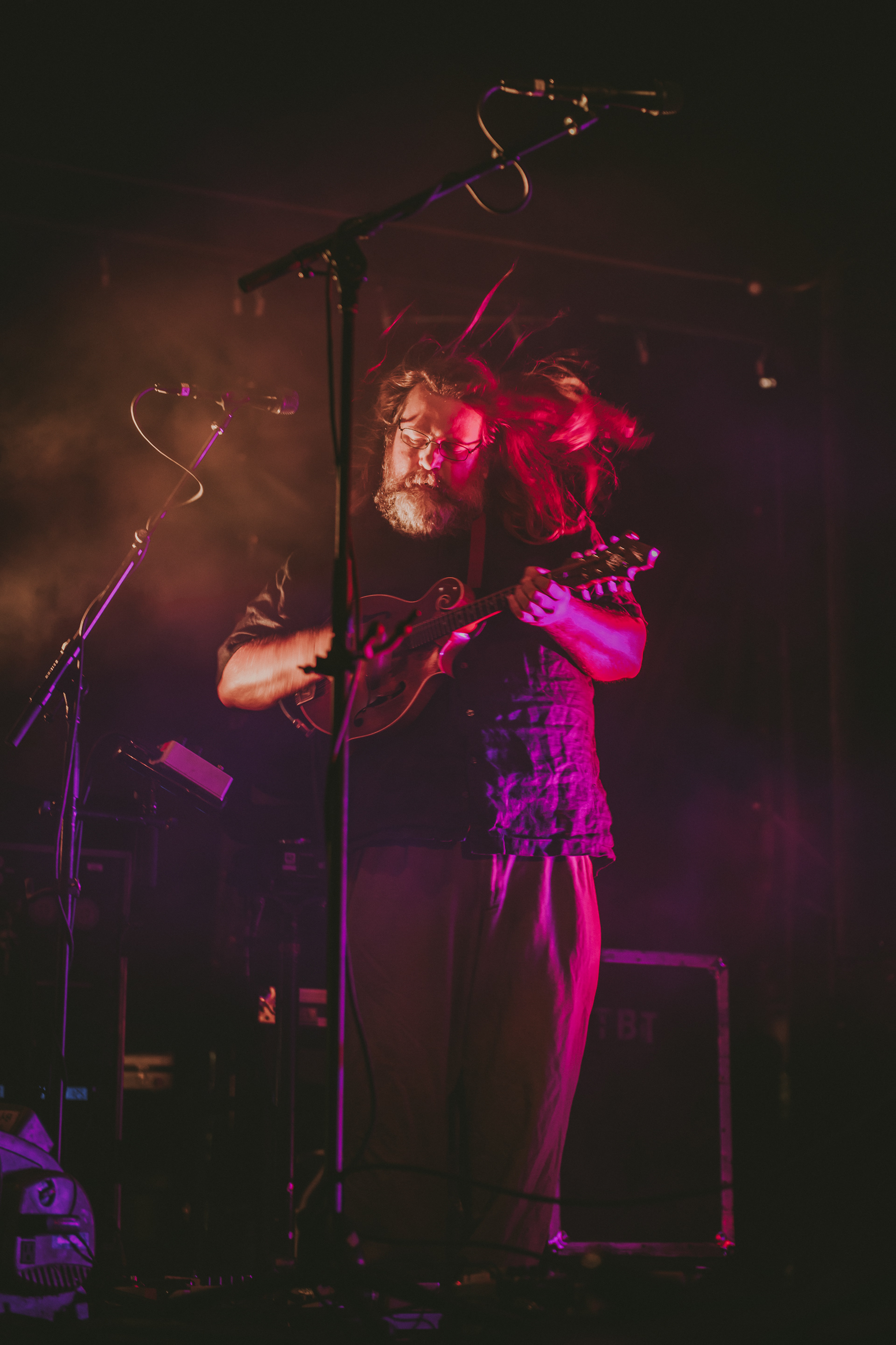 Trampled By Turtles
