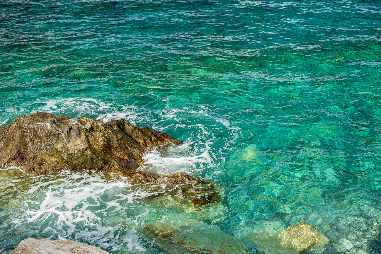 Scilla