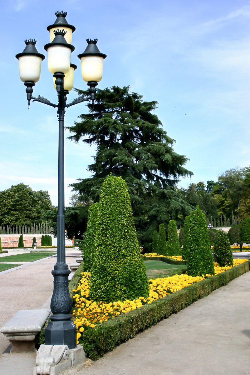Madri