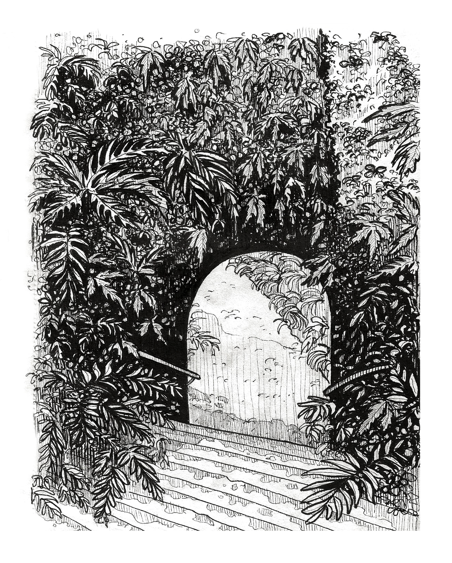 Jungle