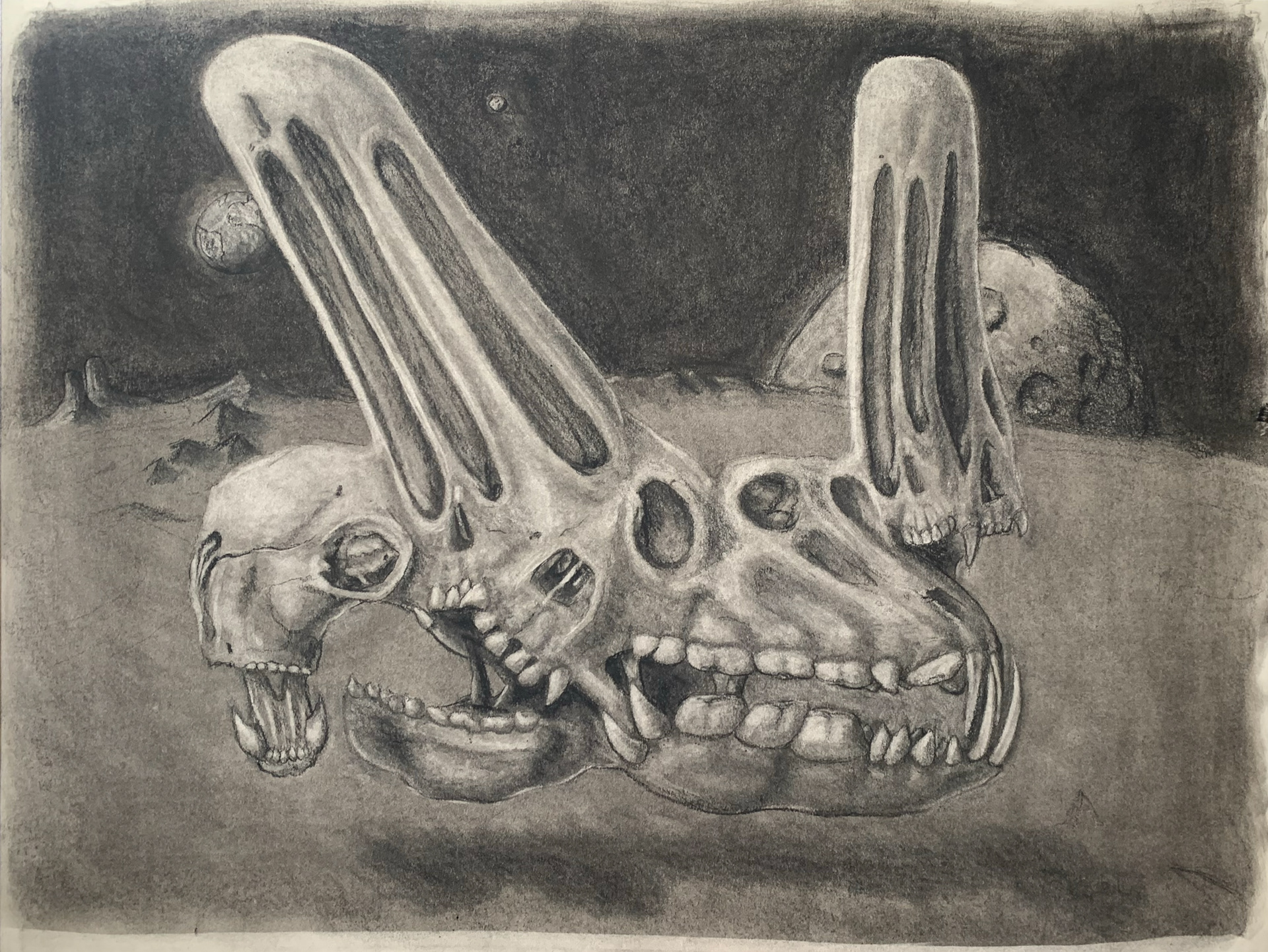 Distorted Skulls - Charcoal