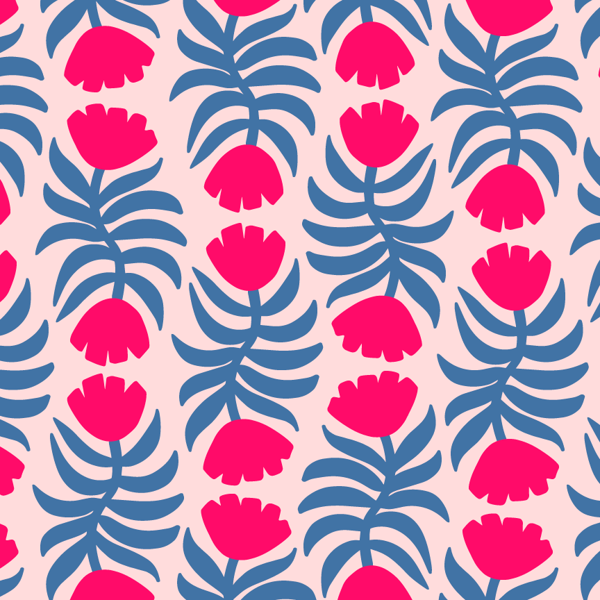 blooming succulents