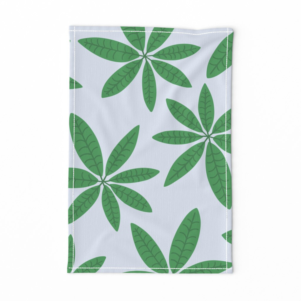 money tree