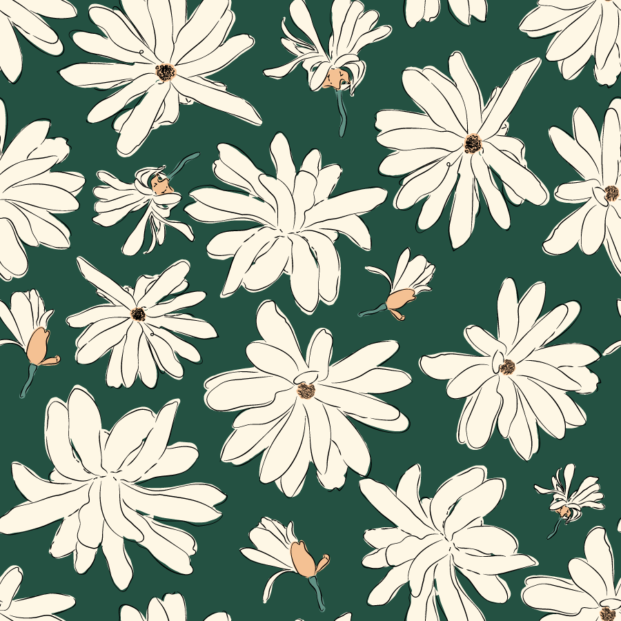 star magnolia flowers