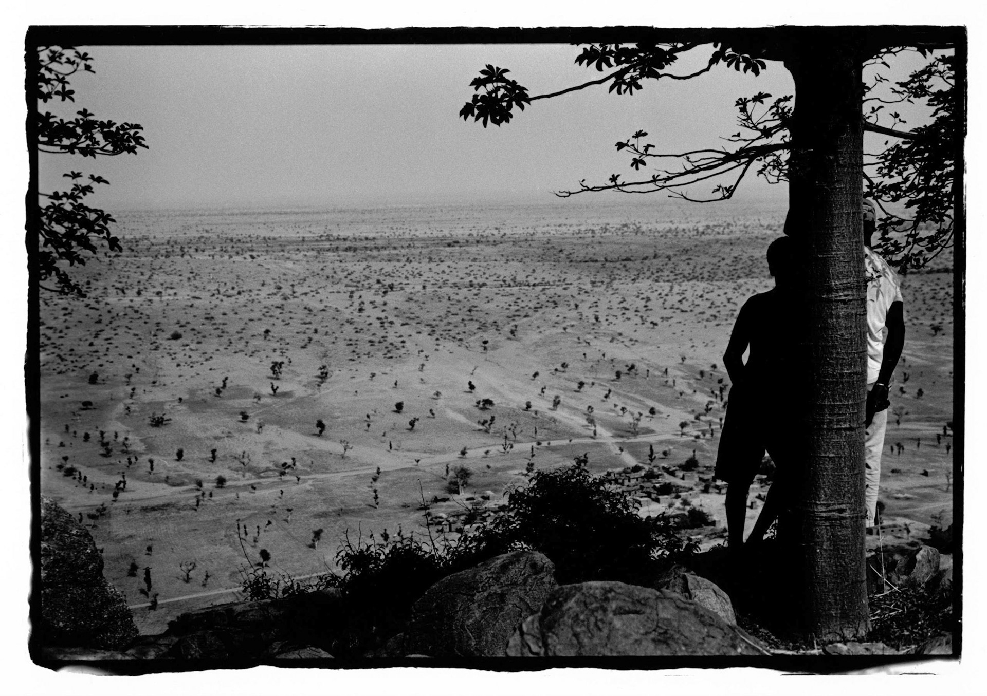 Ils imaginent les éléphnats d'avant depuis la falaise de Bandiagara