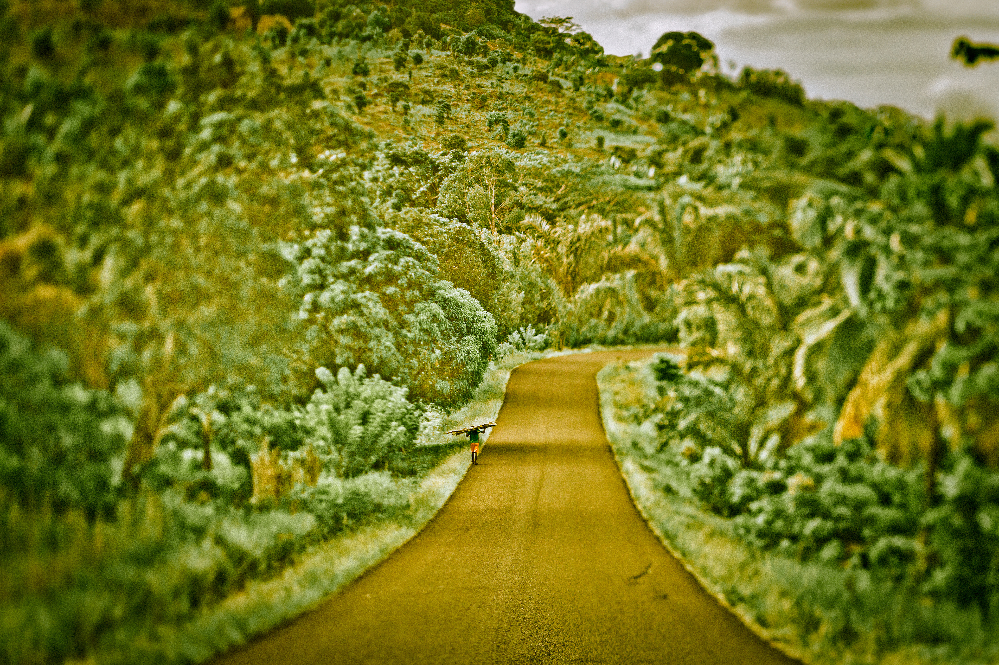 Il marche seul. Madagascar
