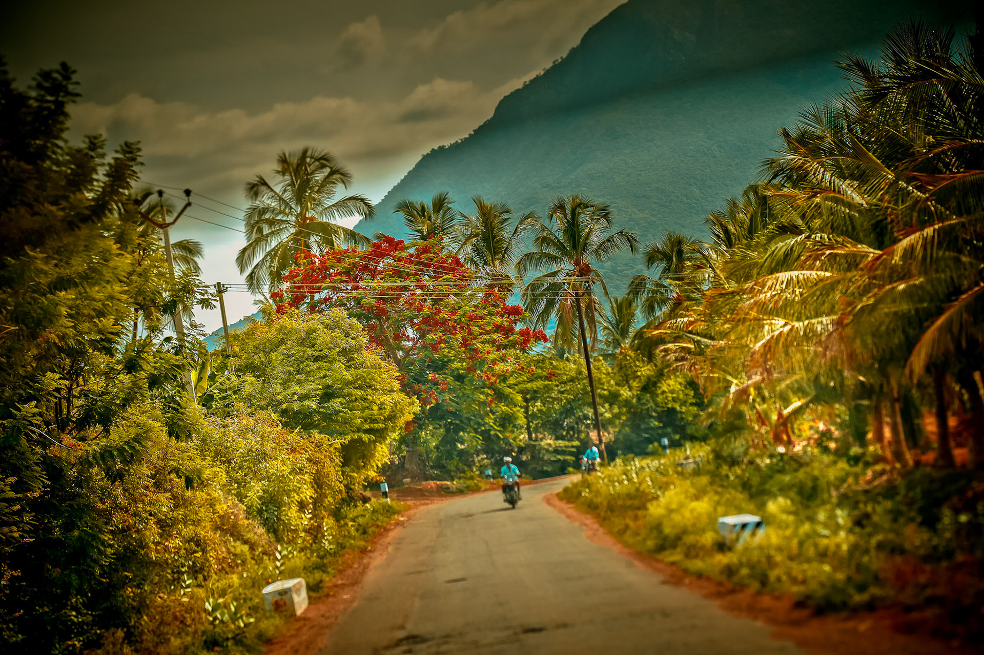 La route aux motos bleues et flamboyants
