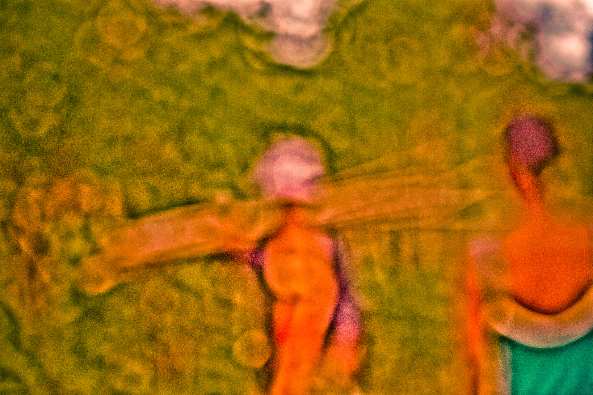 Il passe, elle regarde. Vanille. Madagascar 2015