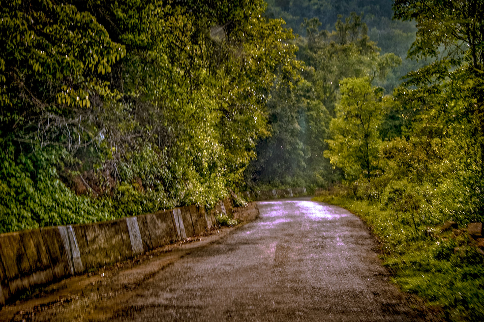 Le virage, comme dans un songe. Ooty. India 2014