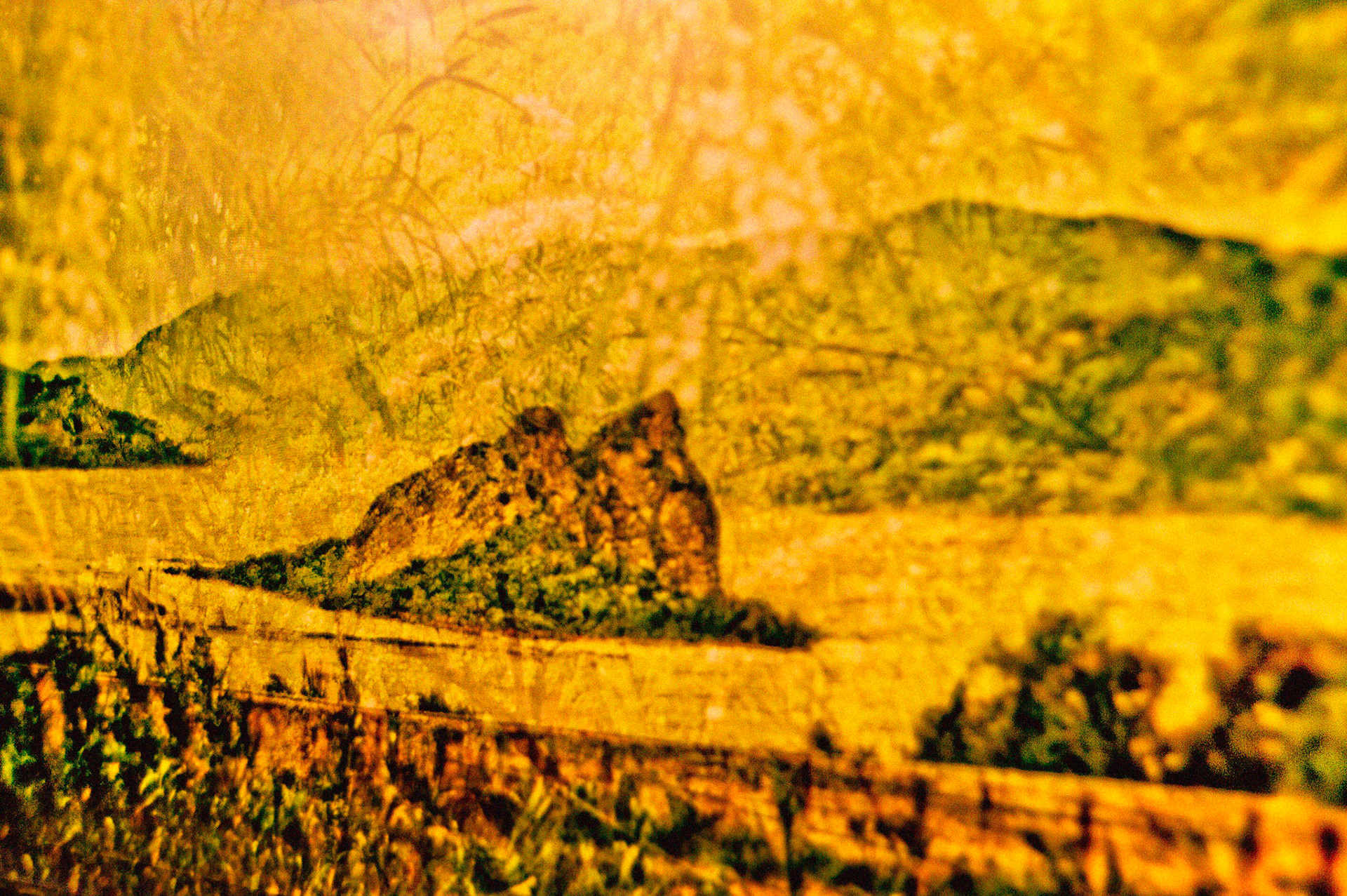 Calabres, 2011. Jaune roc primitif