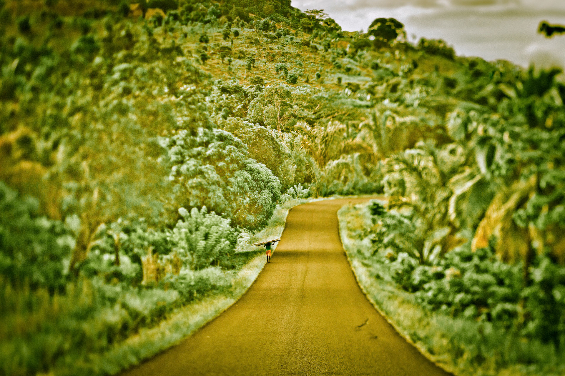 Il marche seul.          Sambava, Madagascar