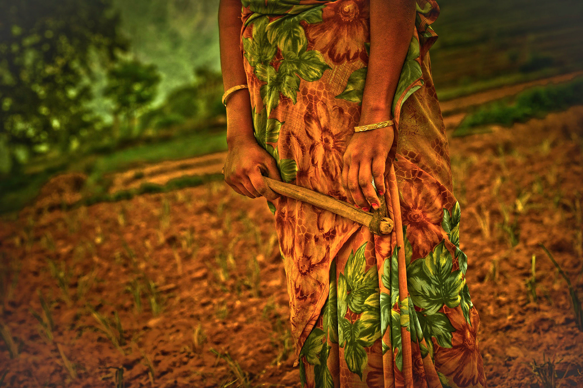 L'élégance.      Tamil Nadu. India