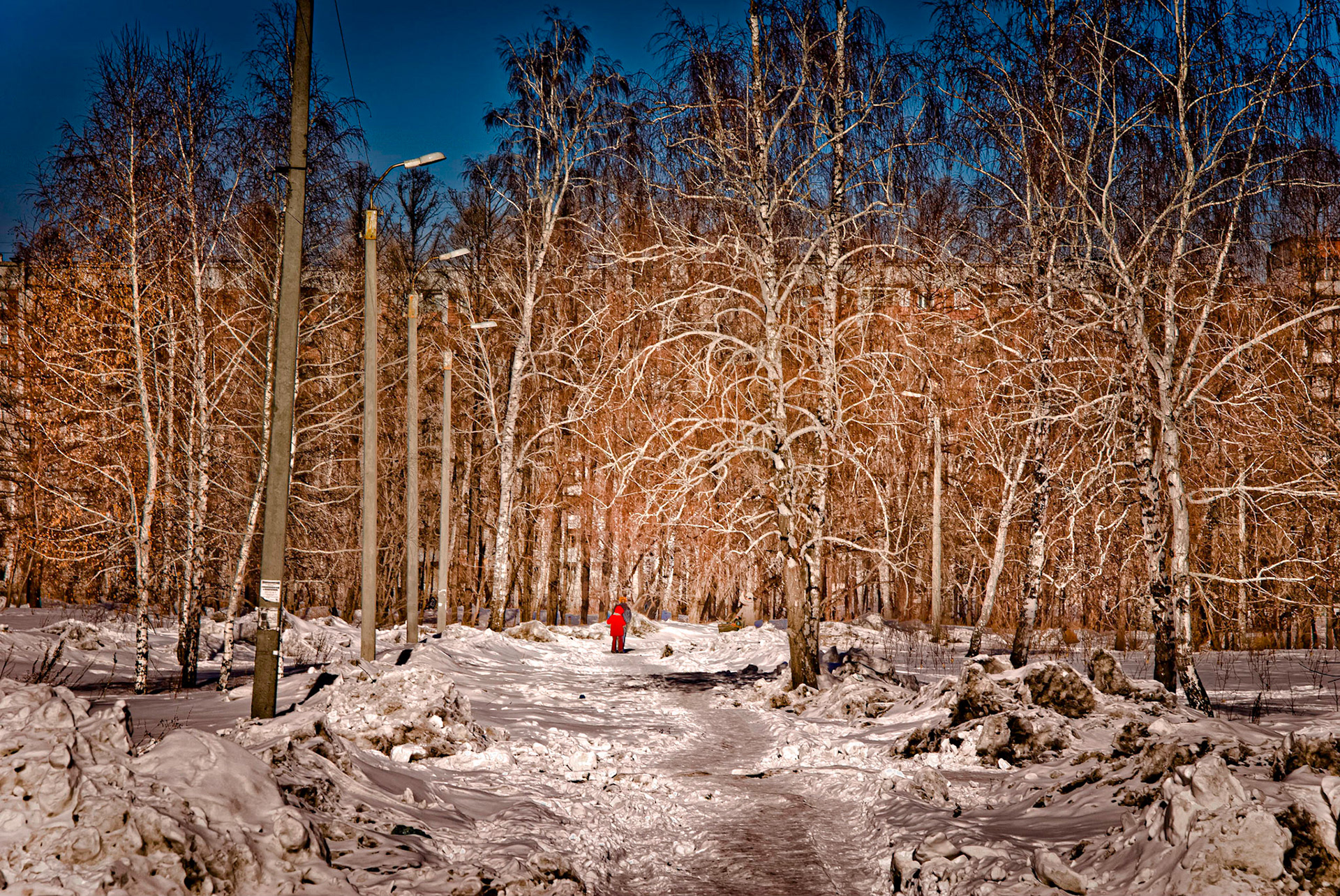 Le Petit Chaperon rouge Sibérien