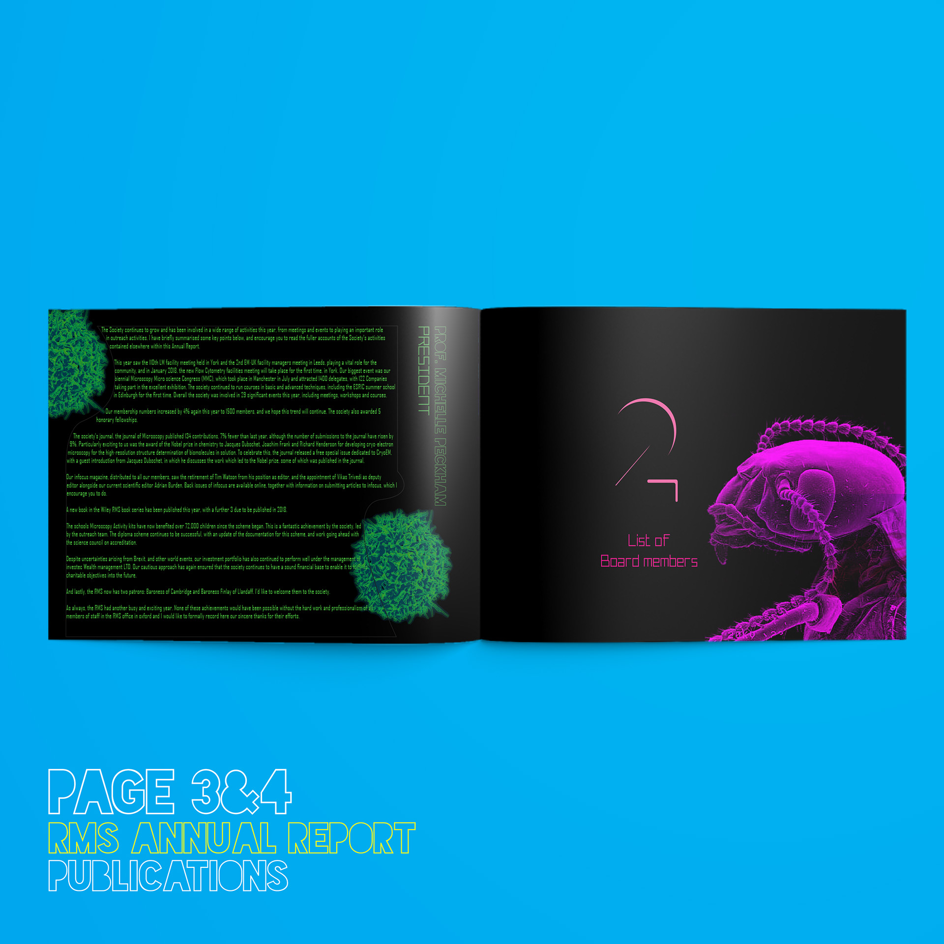 212AAD - Annual report - RMS society
