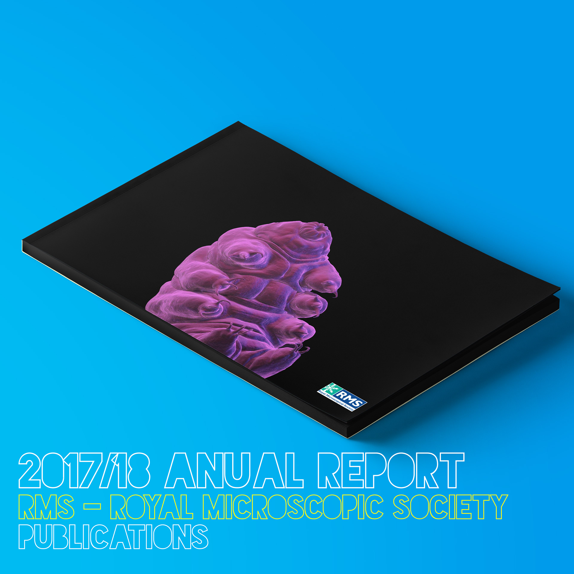 212AAD - Annual report - RMS society
