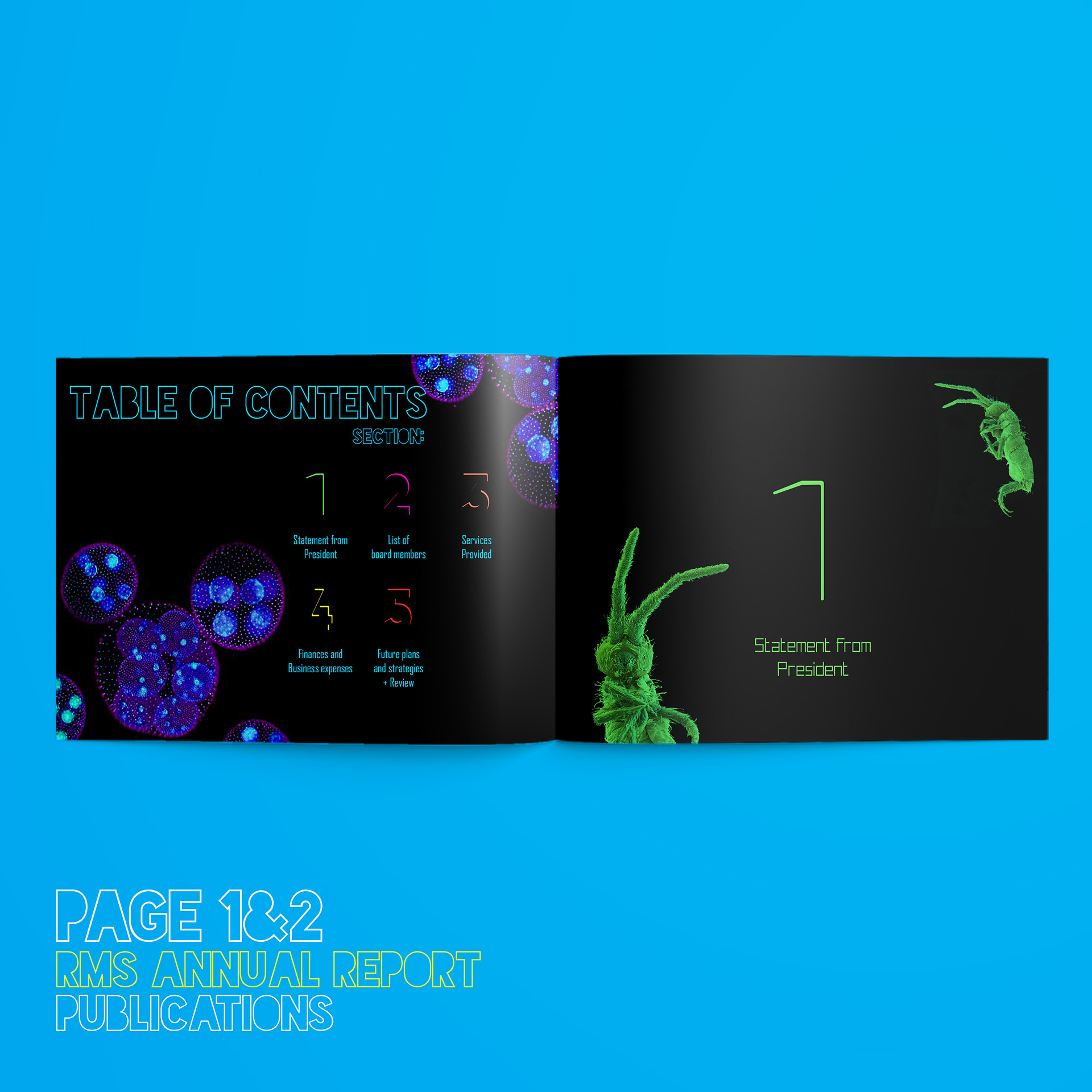 212AAD - Annual report - RMS society