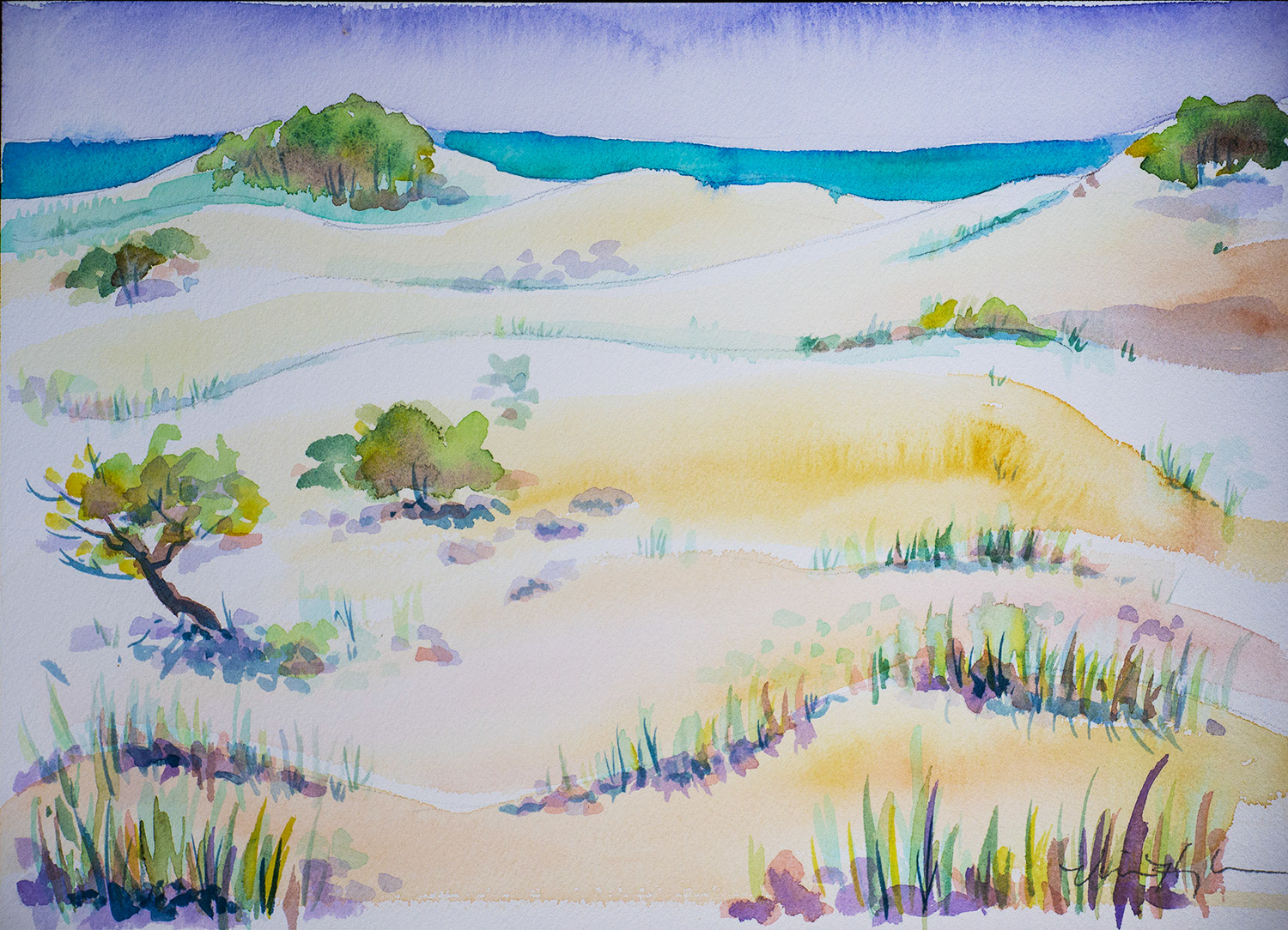 Parabolic Dunes (20" x 16") $225.