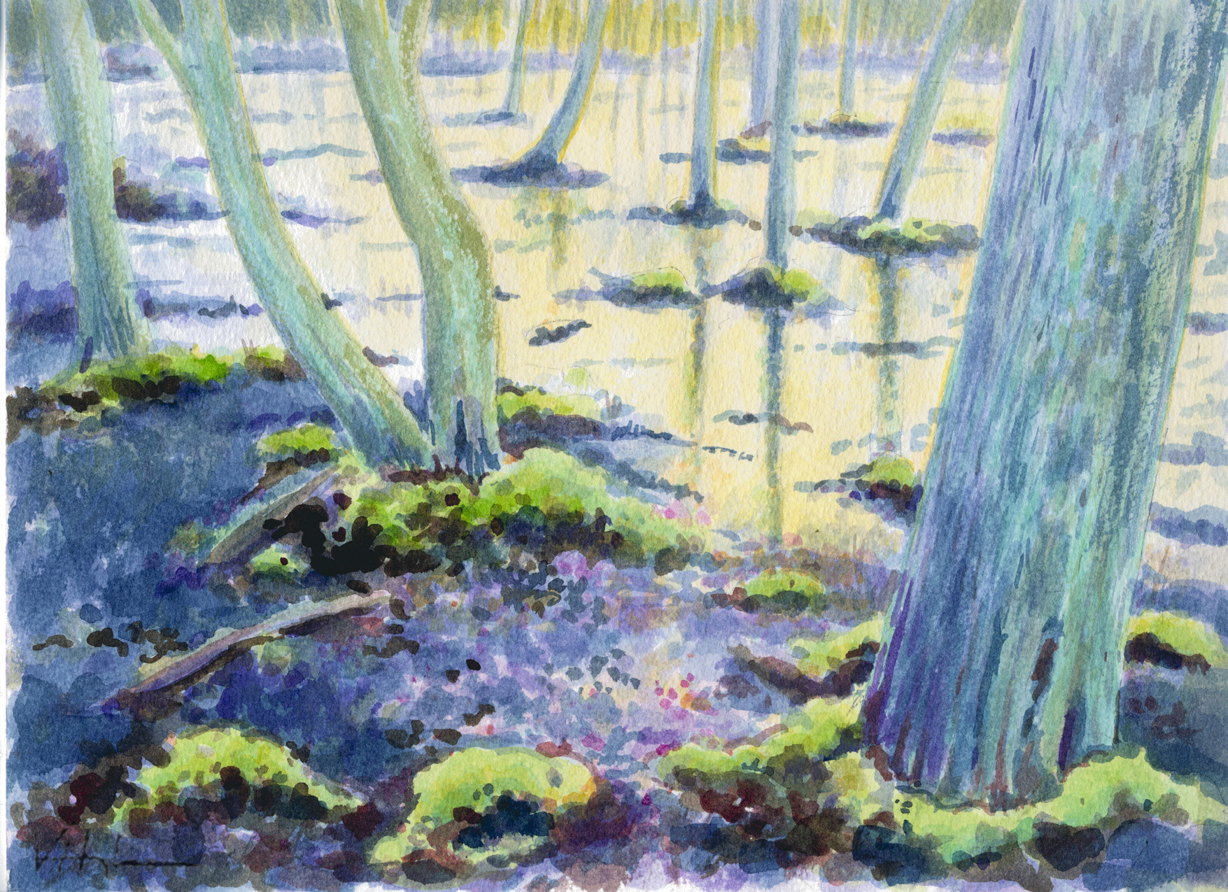 Mossy Marsh, Prime Hook (20" x 16") $210.