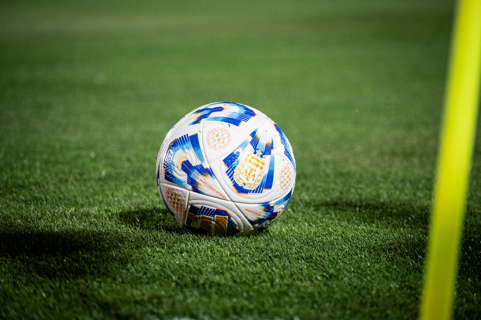 Pelota del torneo profesional AFA 2024.