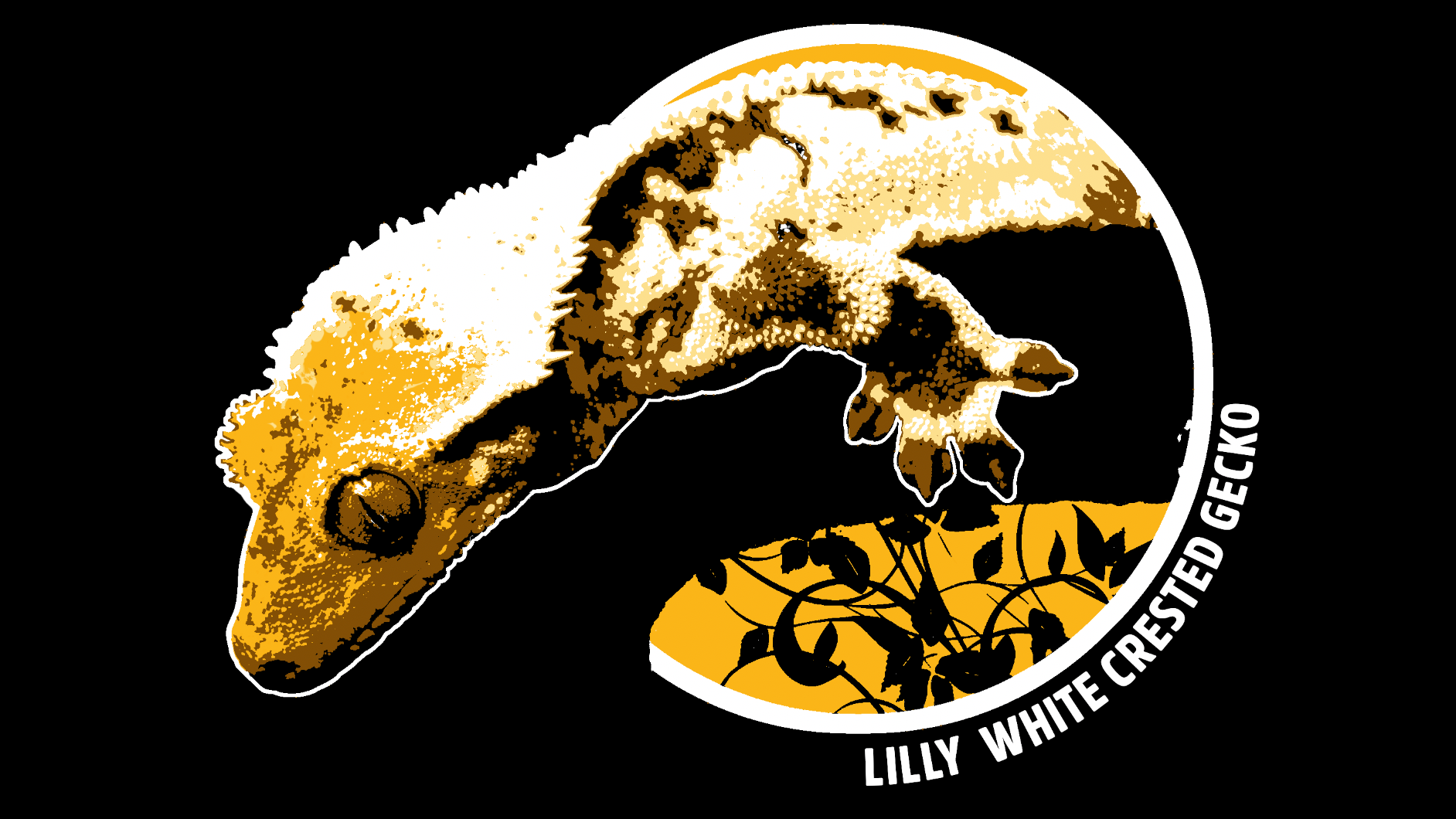 Last T-shirt Designed