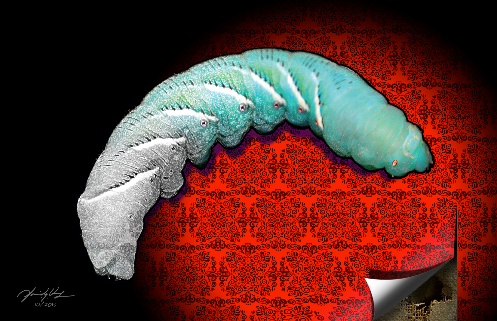 Illustration