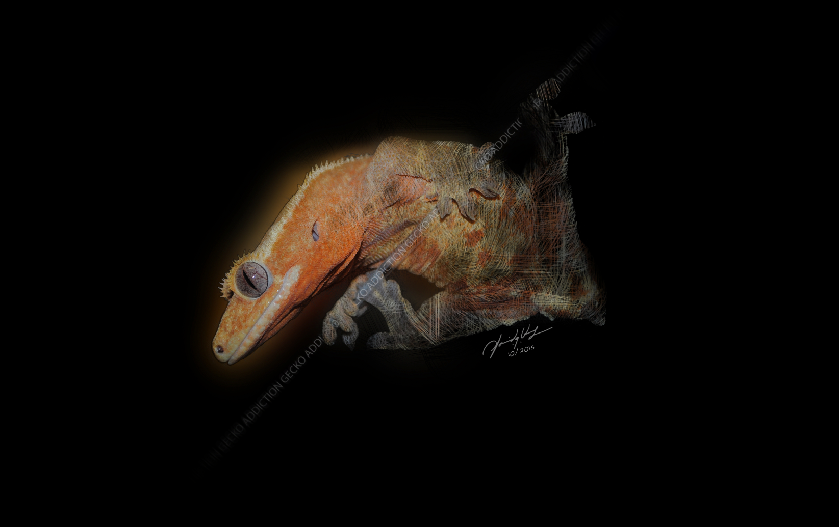Illustration