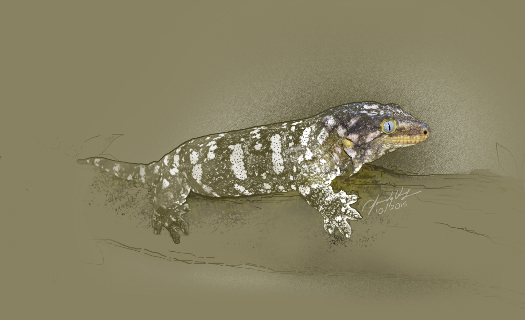 Illustration