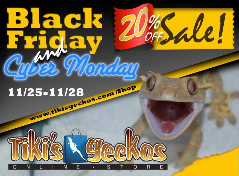 Advertising -Banner-