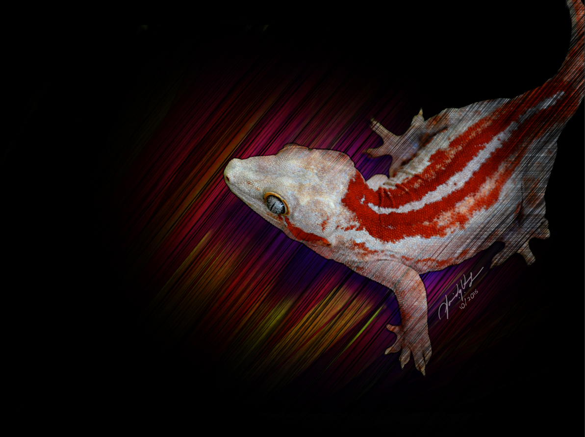Illustration