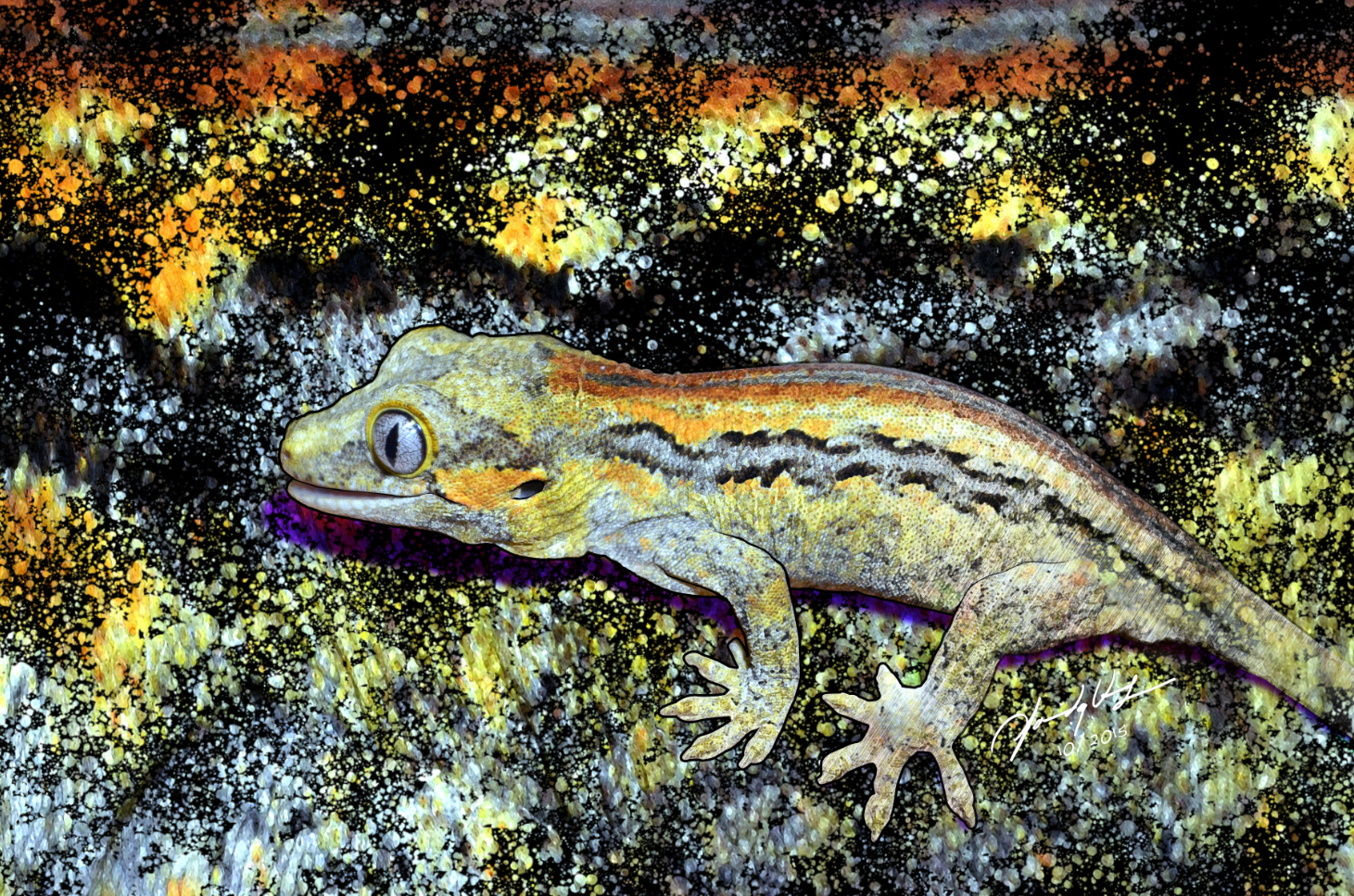 Illustration