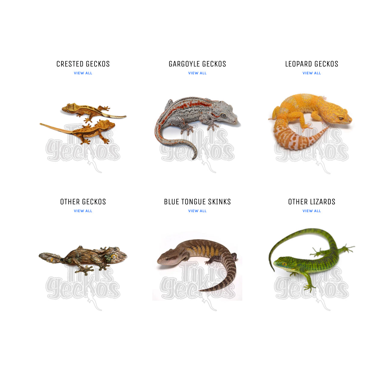 Assets for Website