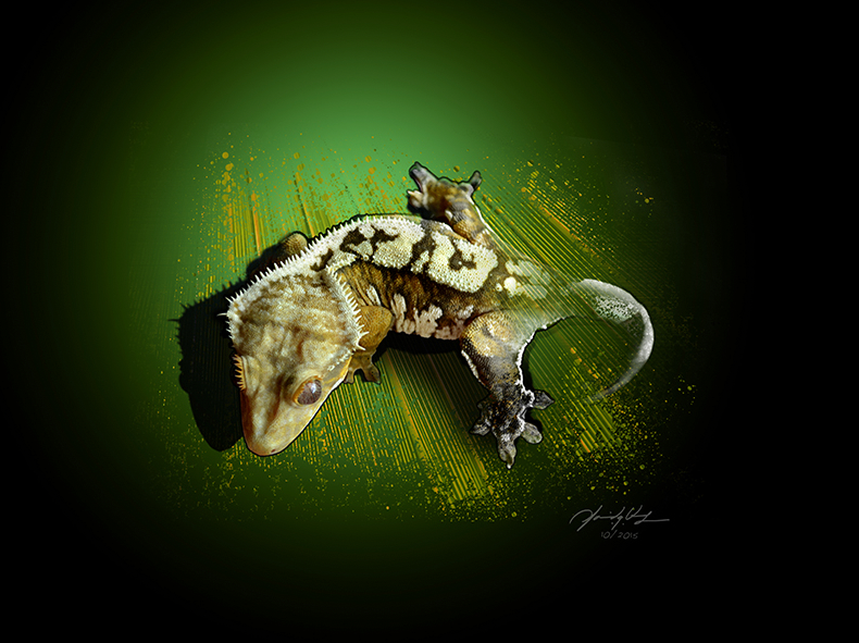 Illustration