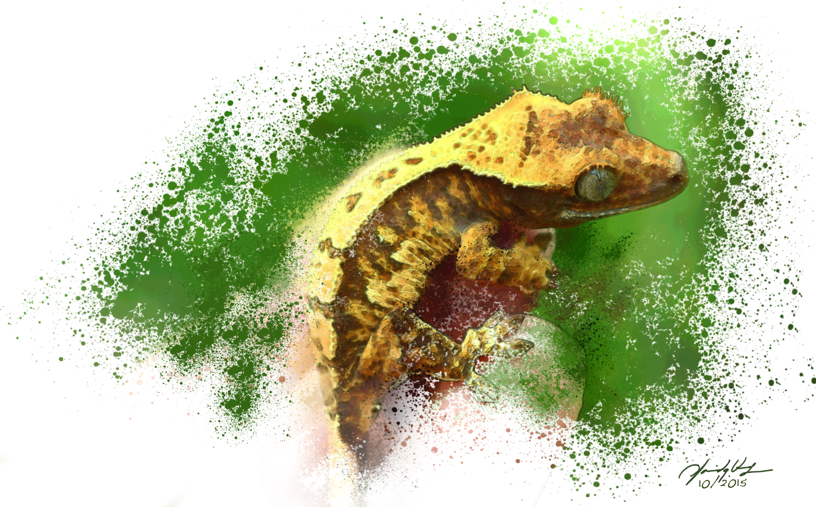 Illustration